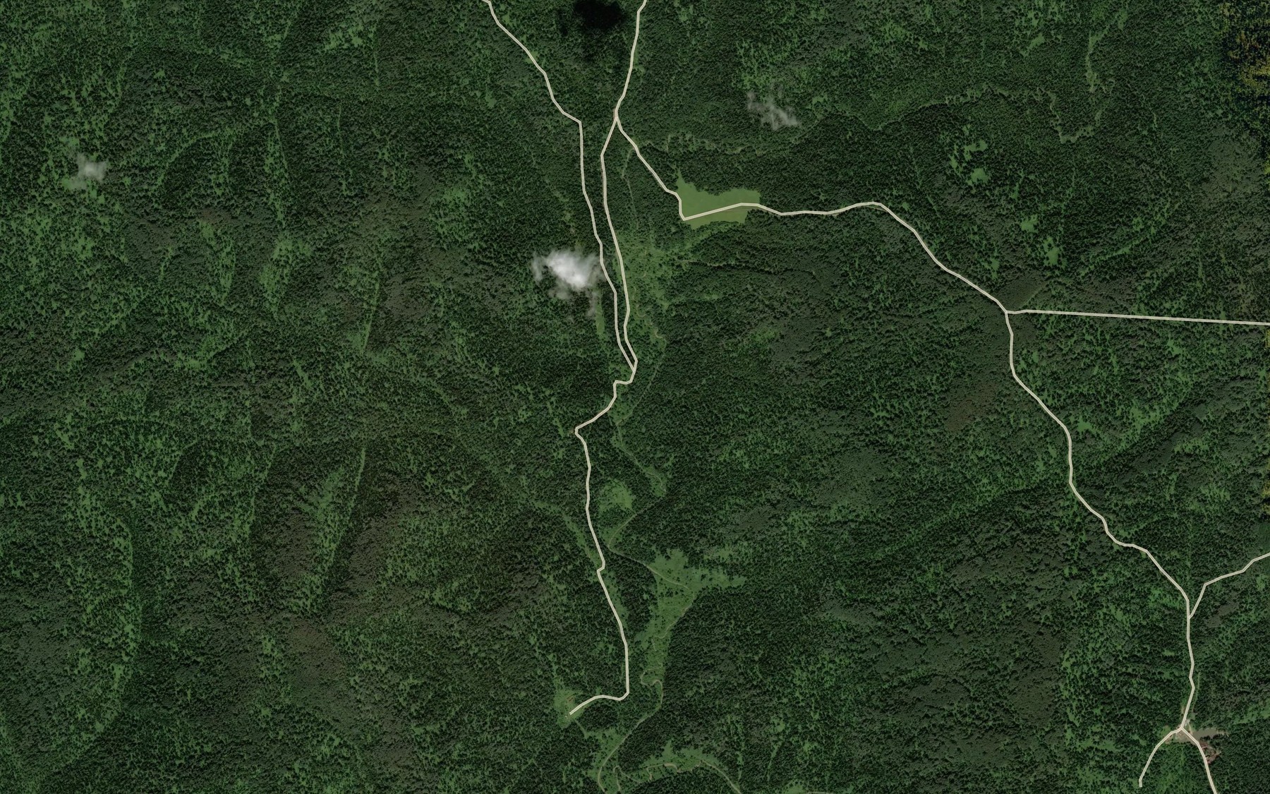 Satellite map of the Plotnikov