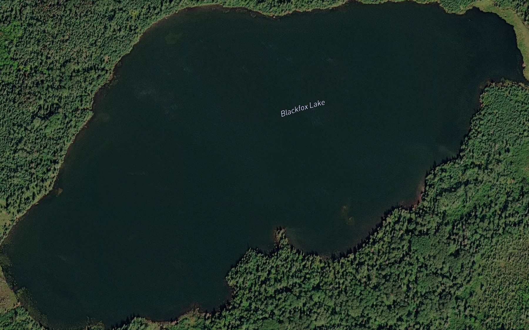 Satellite map of the Blackfox Lake