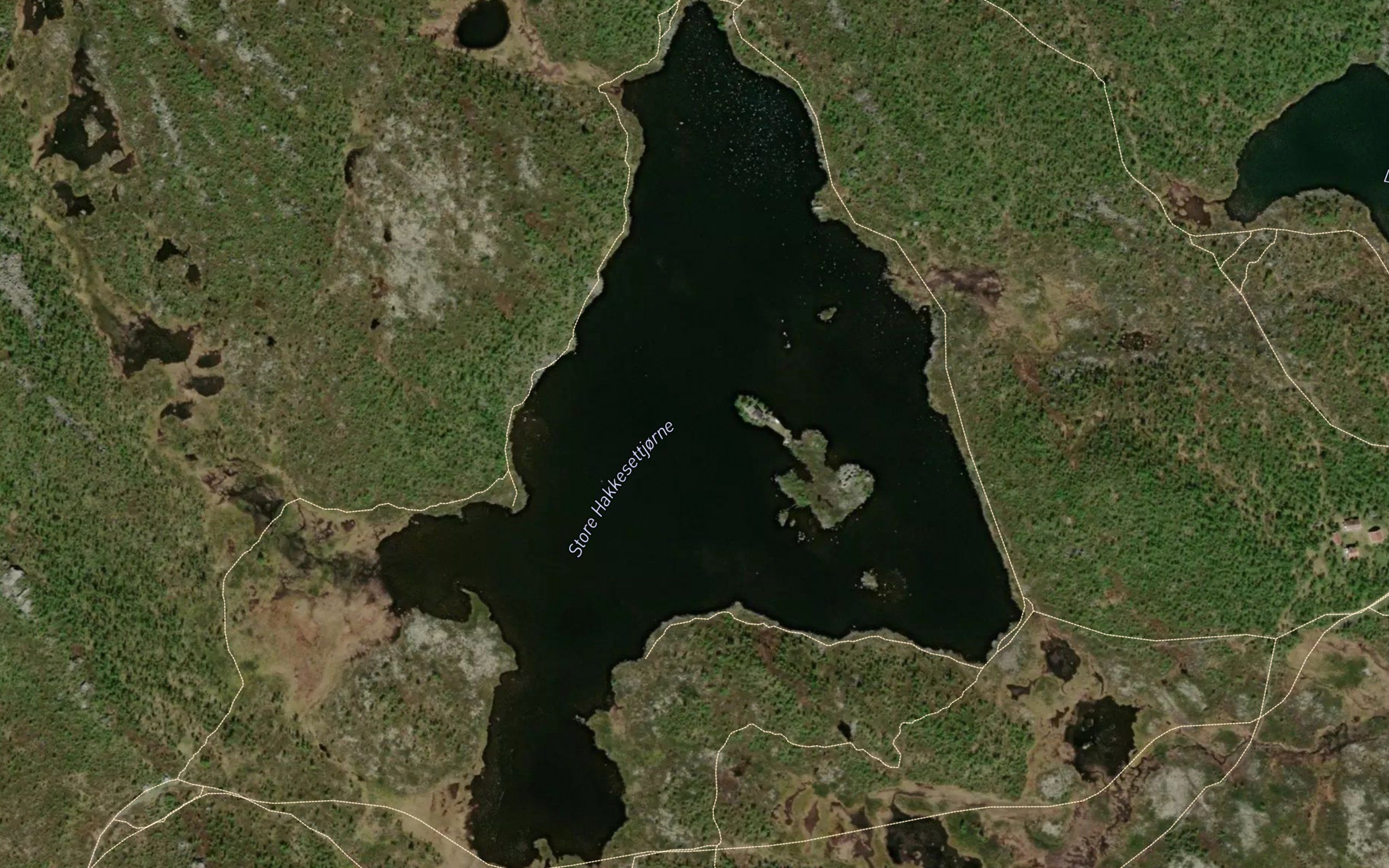 Store Hakkesettjodn