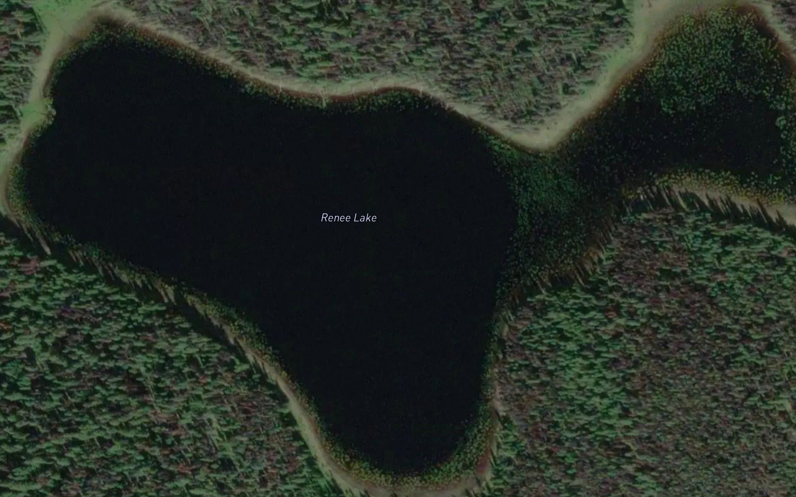 Renee Lake