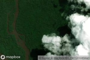 Spring-Steiner Rapid