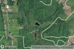 Triangle Lake