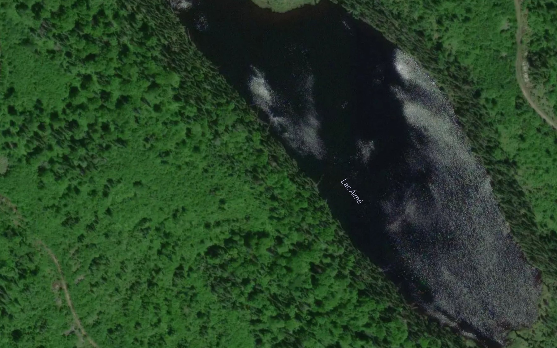 Satellite map of the Lac Aime