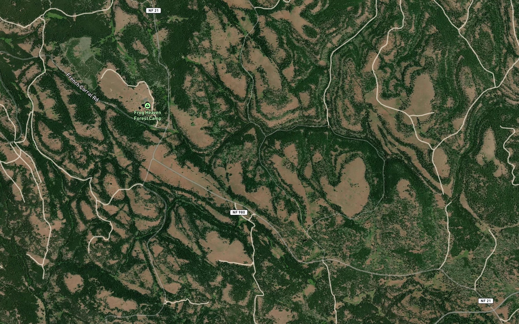 Satellite map of the Perrin Spring