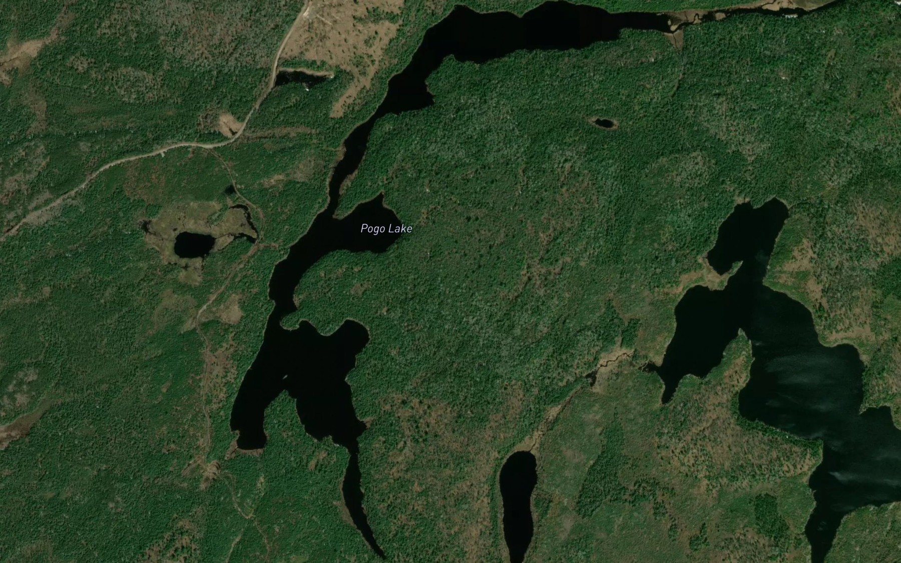 Satellite map of the Pogo Lake