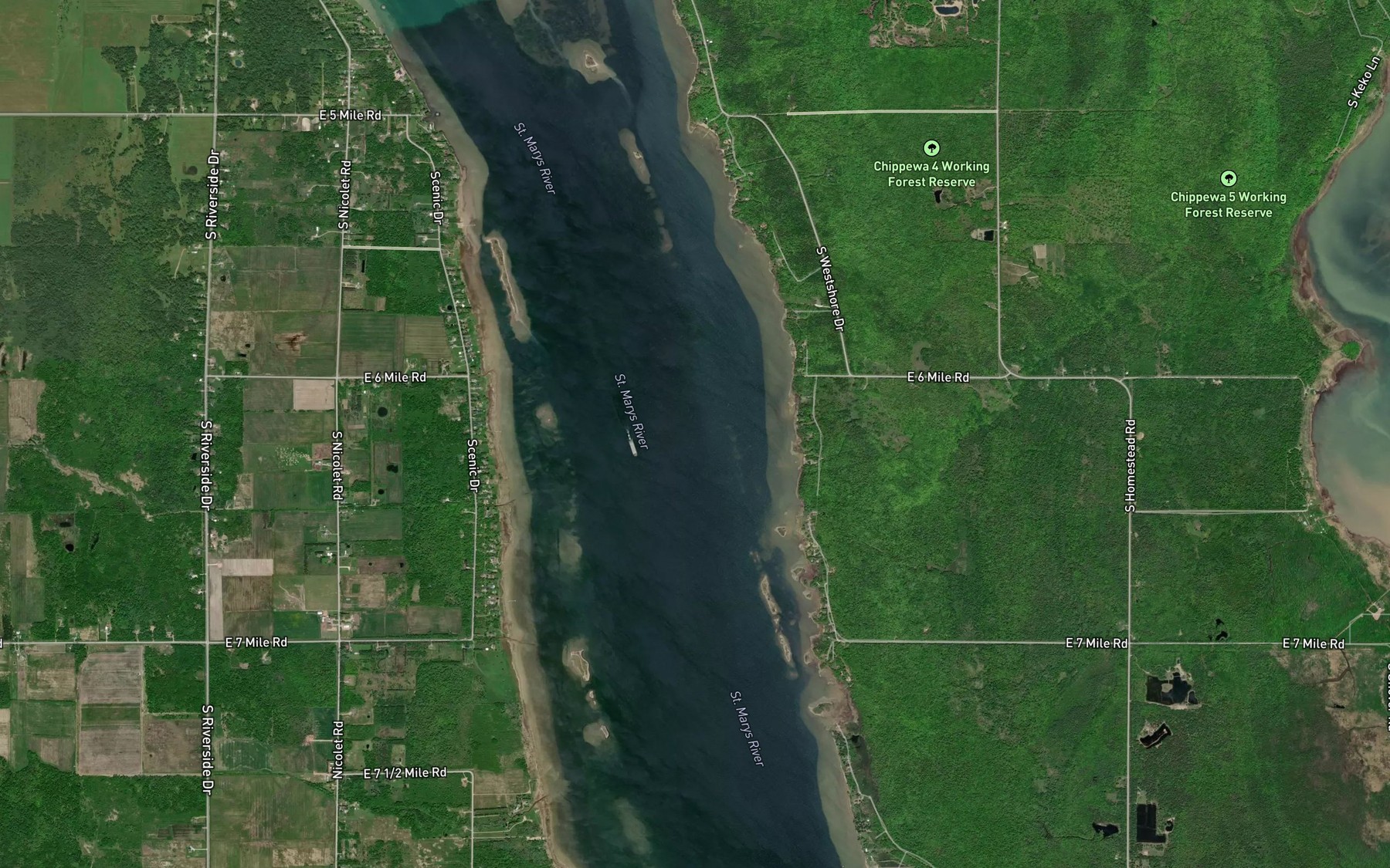 Lake Nicolet Fishing in Michigan 2026 — Live Reports, Forecast & AI ...