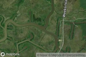 Bayou Patout
