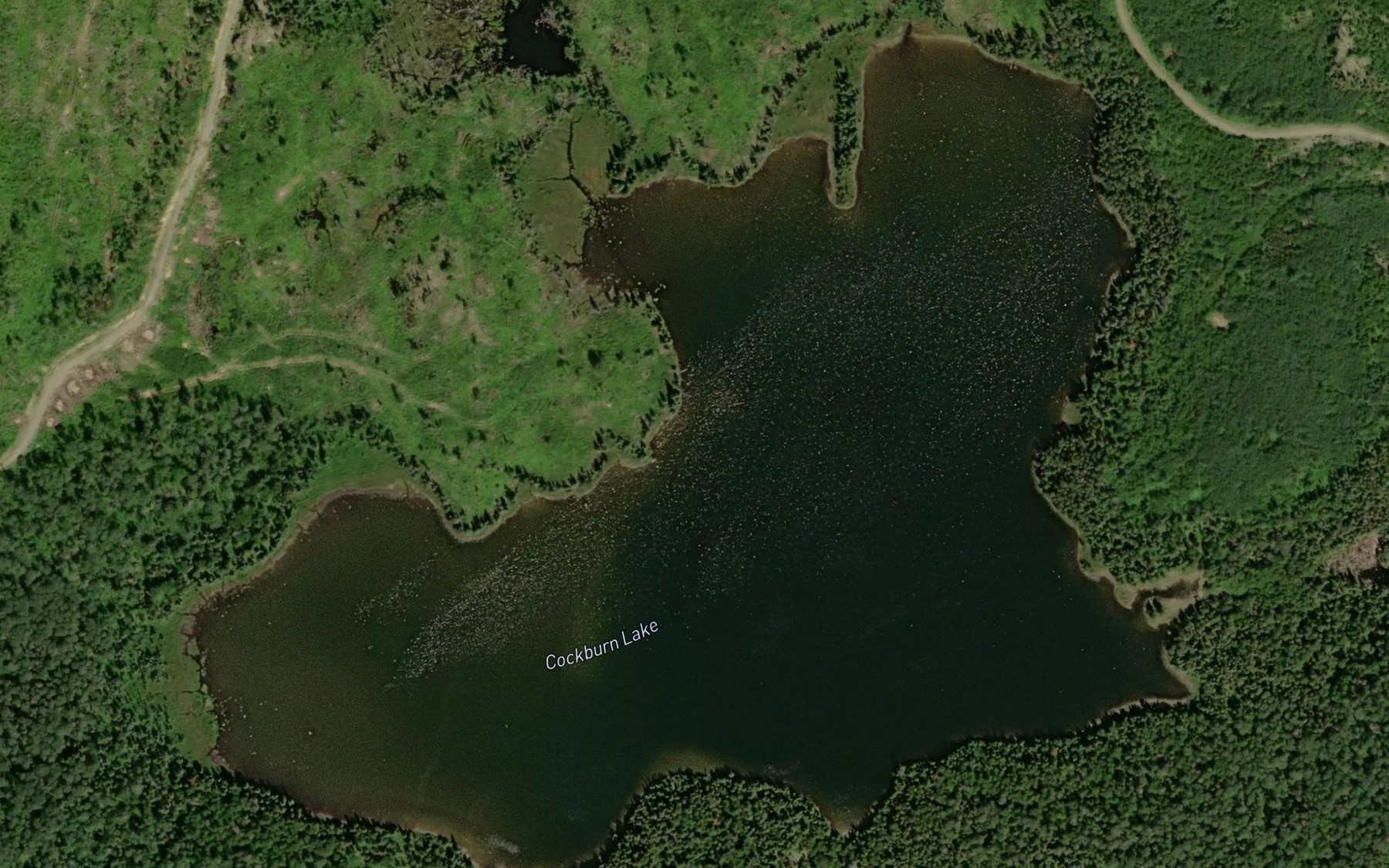 Satellite map of the Cockburn Lake