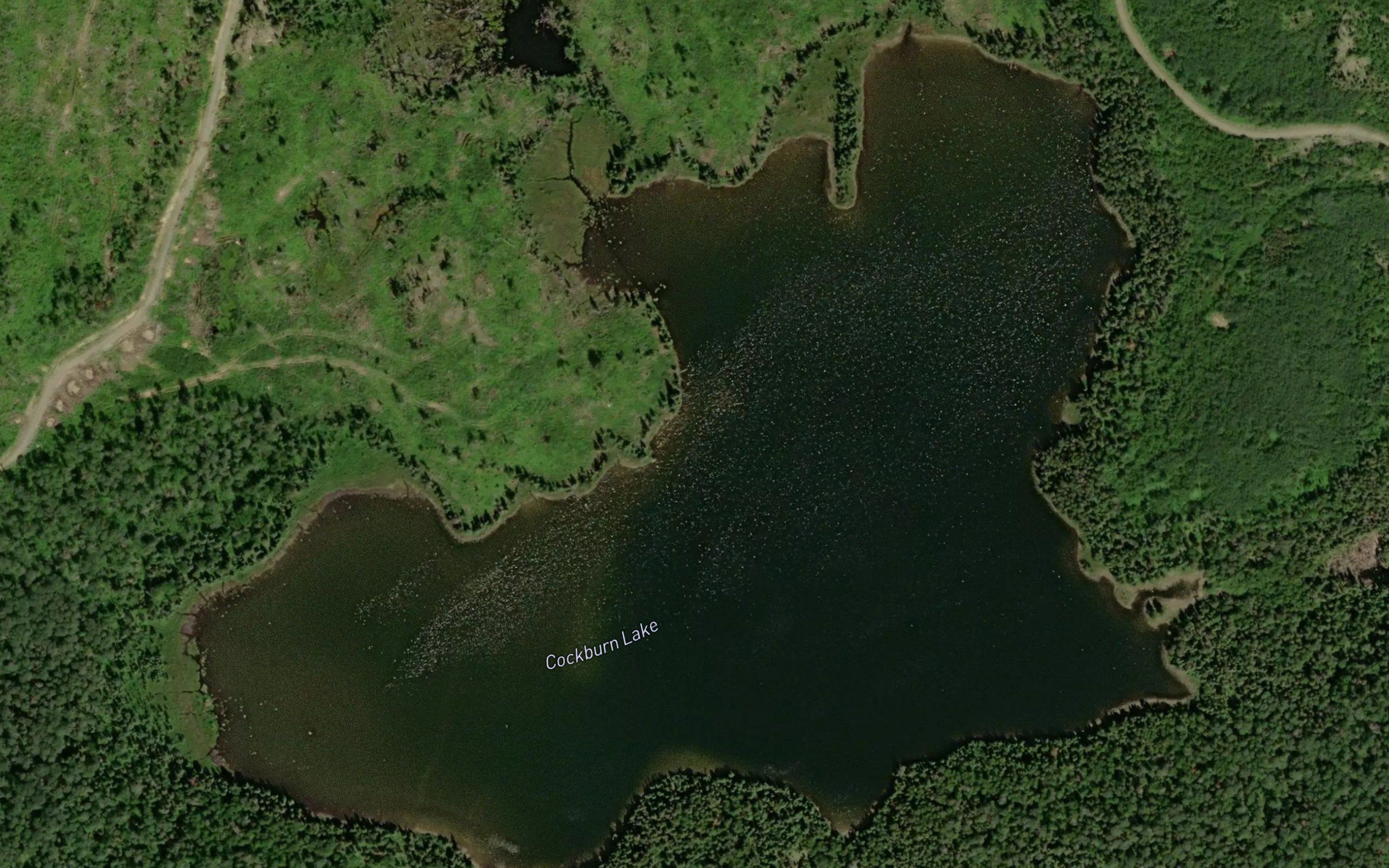 Cockburn Lake