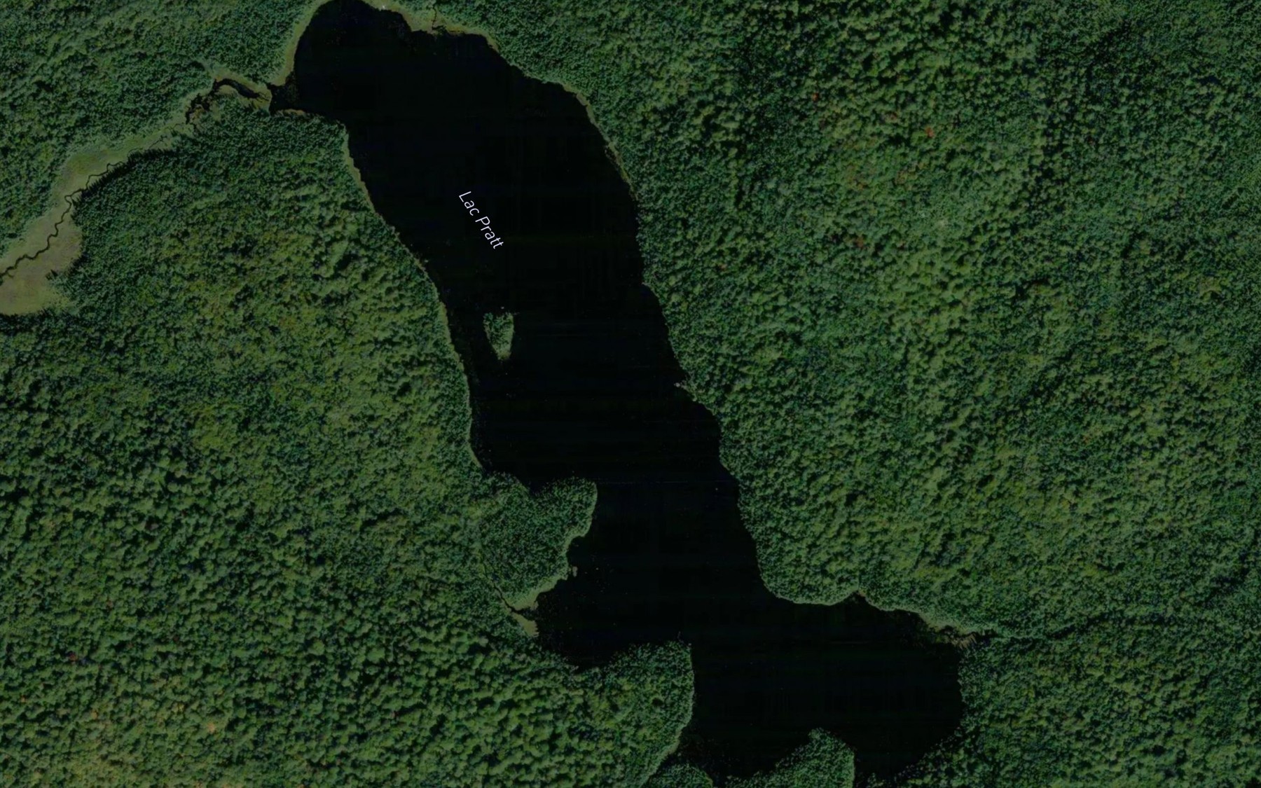 Satellite map of the Lac Pratt
