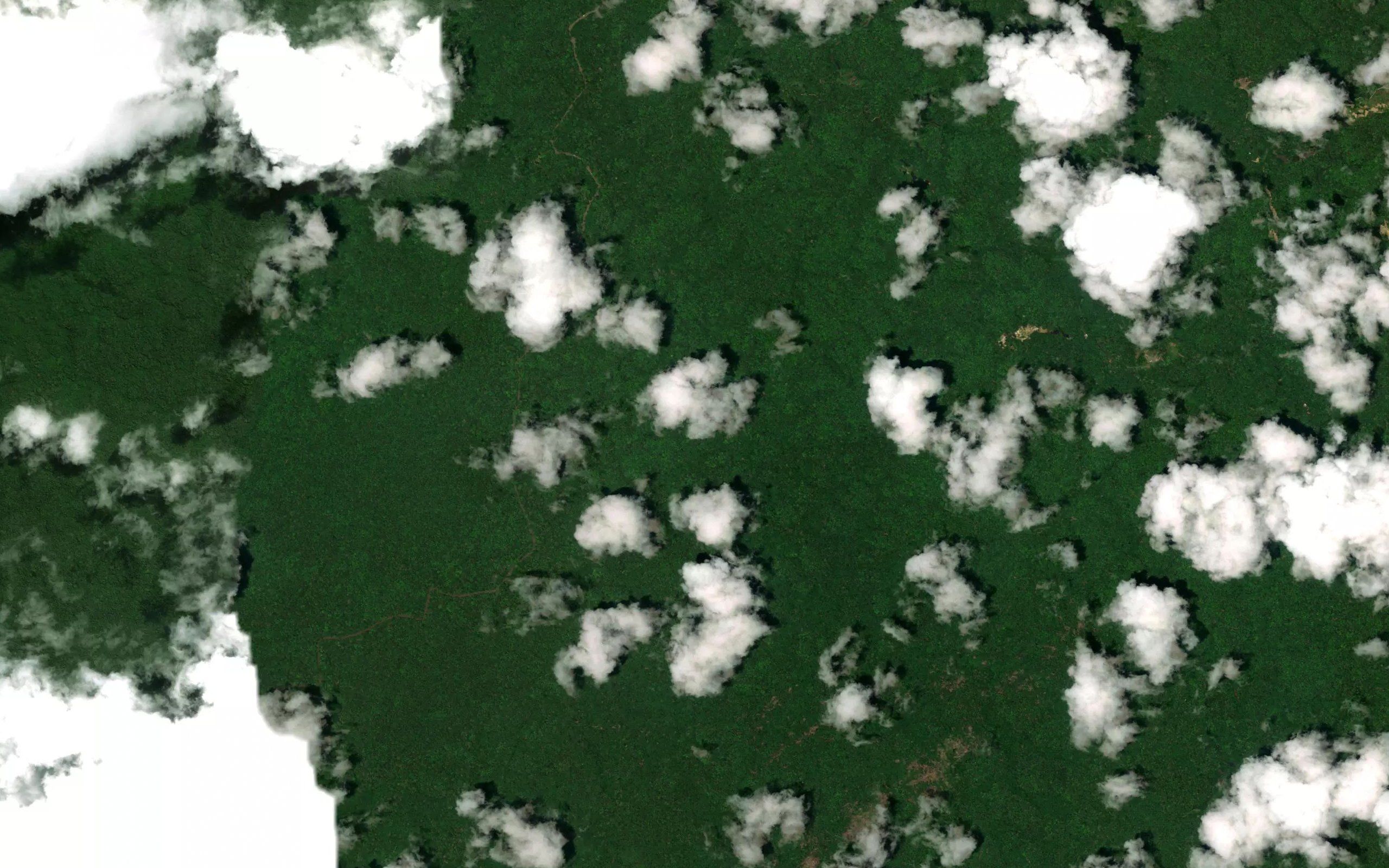 Haimara