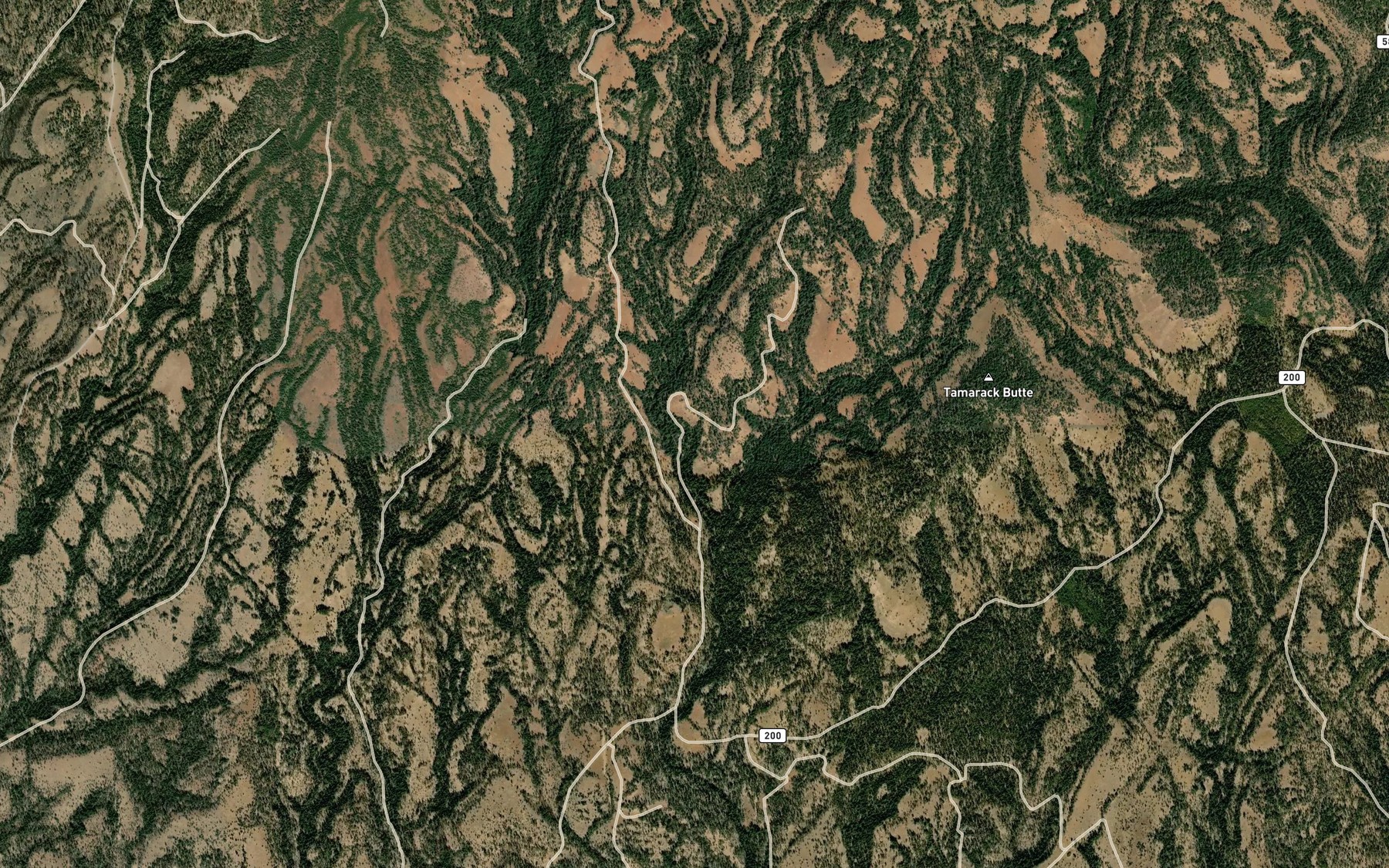 Satellite map of the Tamarack Spring
