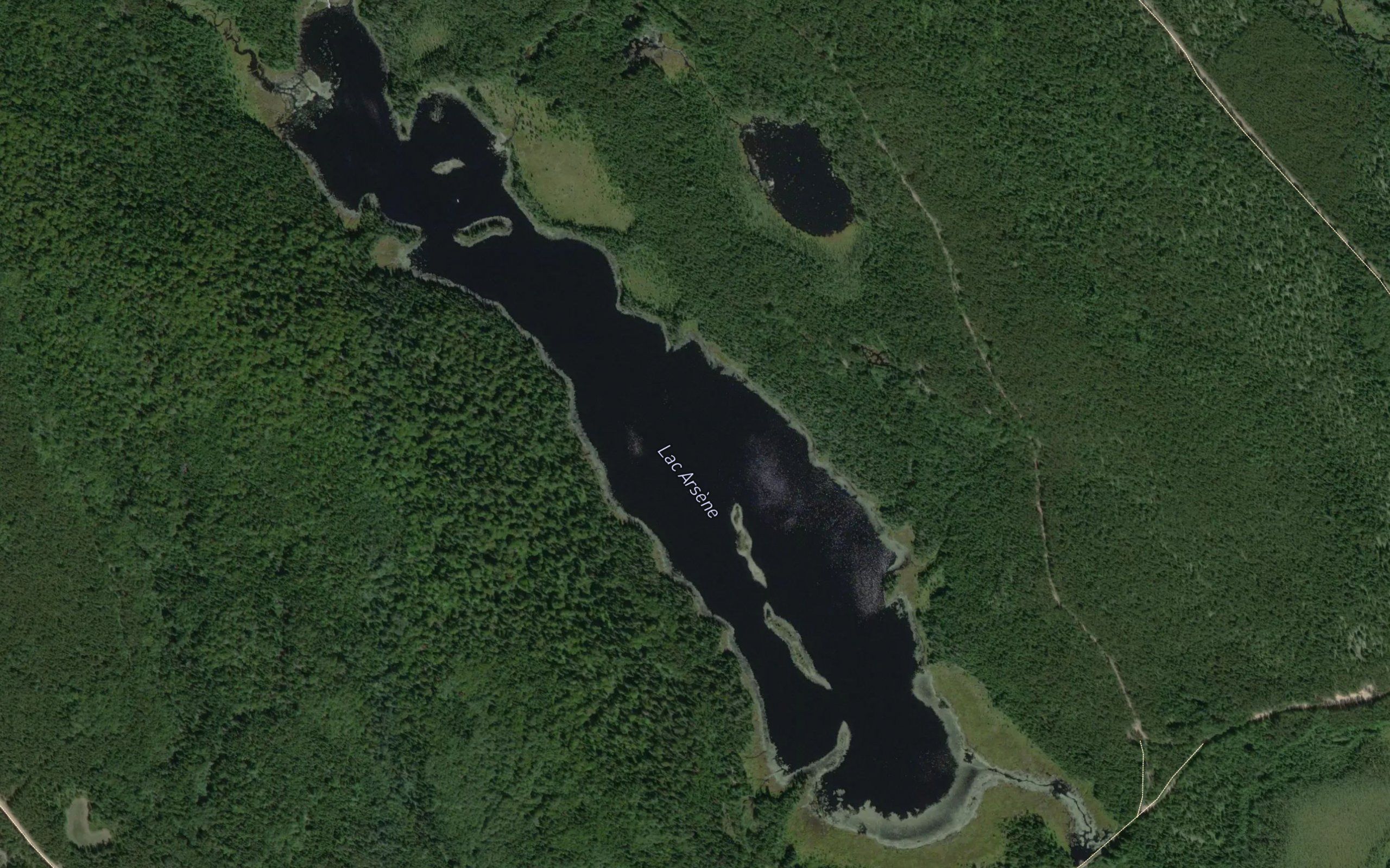 Lac Arsene