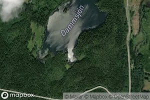 Damsjon