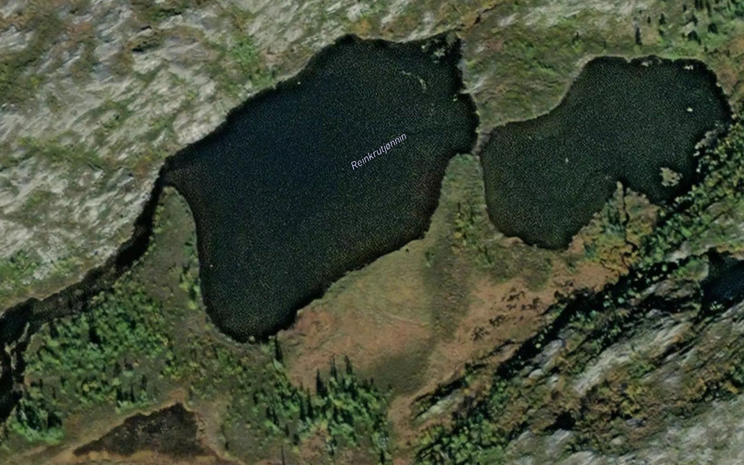 Reinkrutjornin