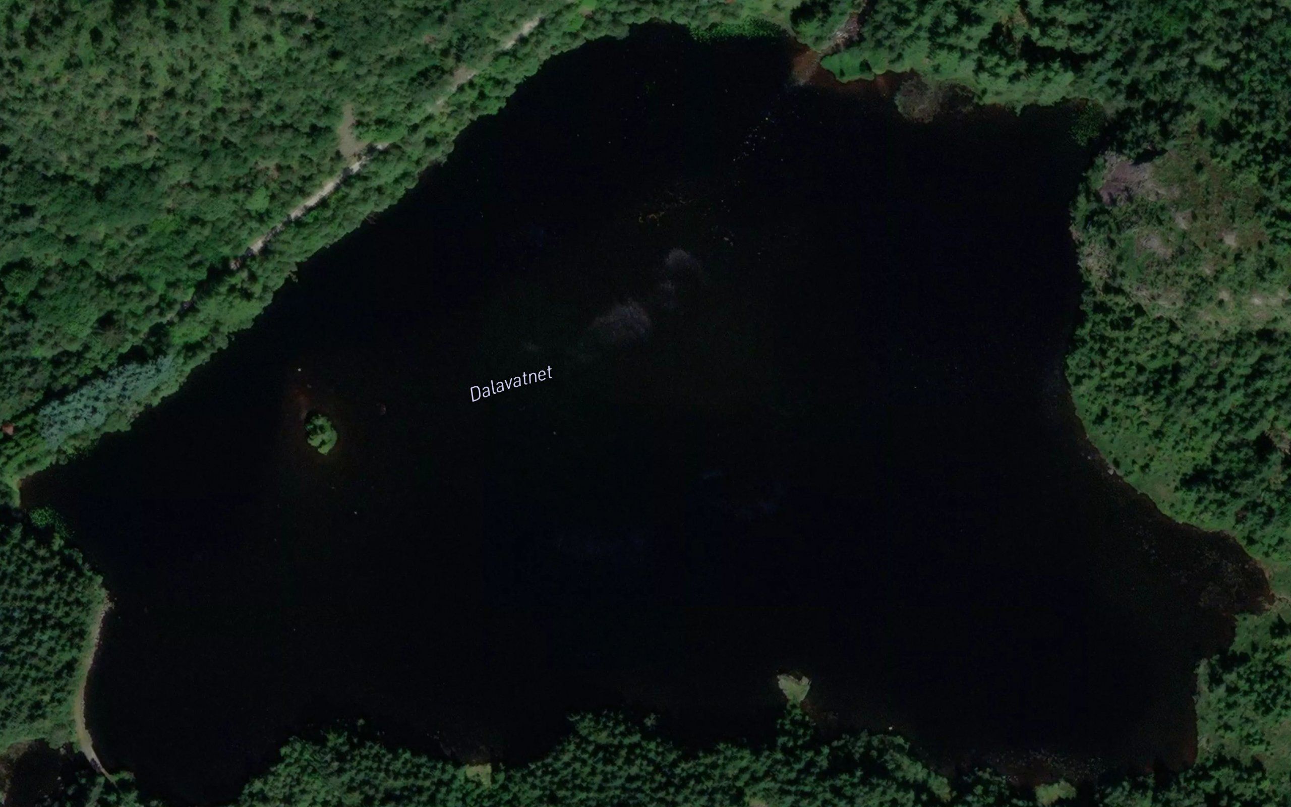 Dalavatnet