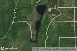 Pup Lake