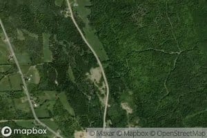 Little Forks