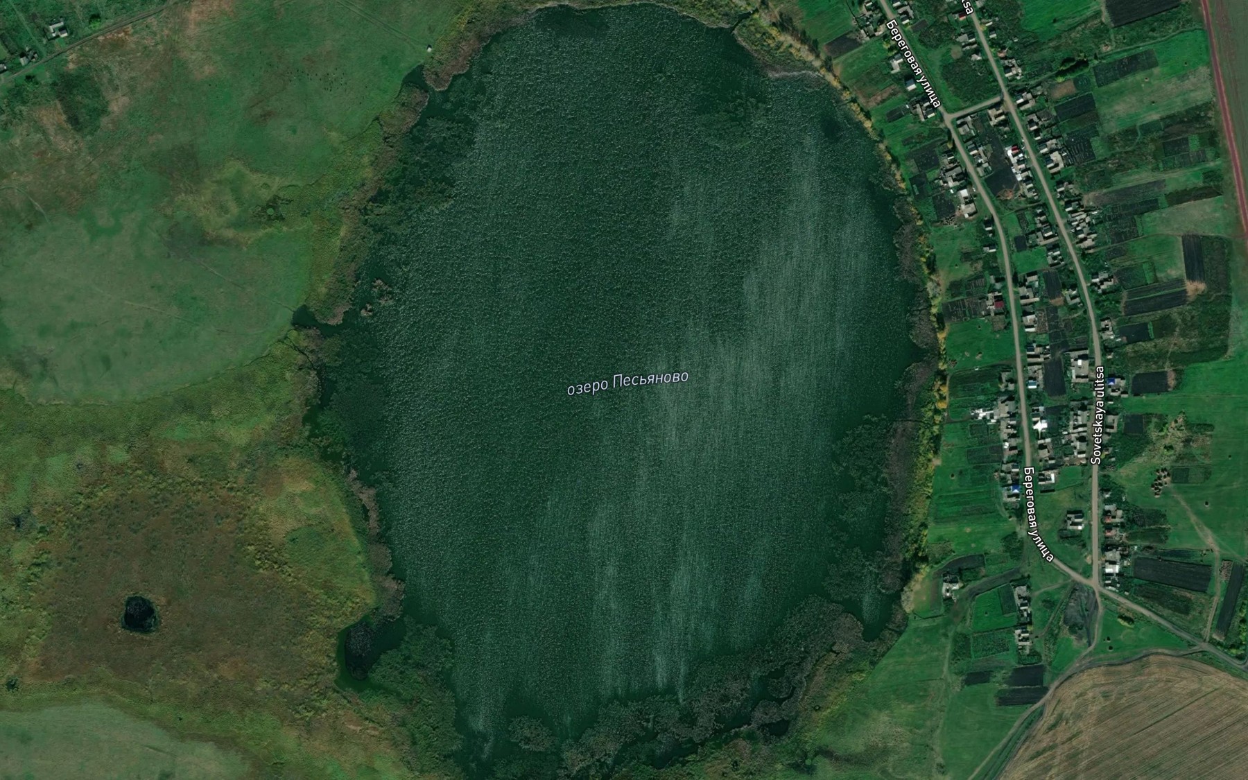 Satellite map of the Ozero Pes'yanovo