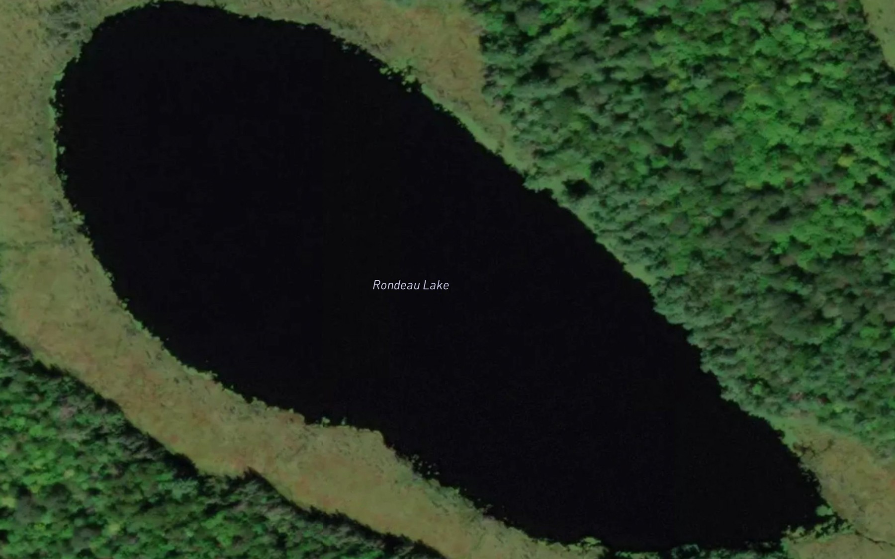 Satellite map of the Rondeau Lake