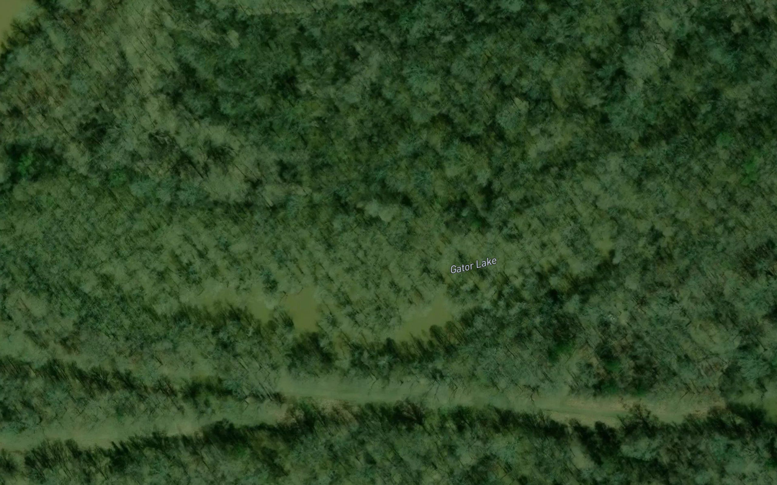 Gator Lake