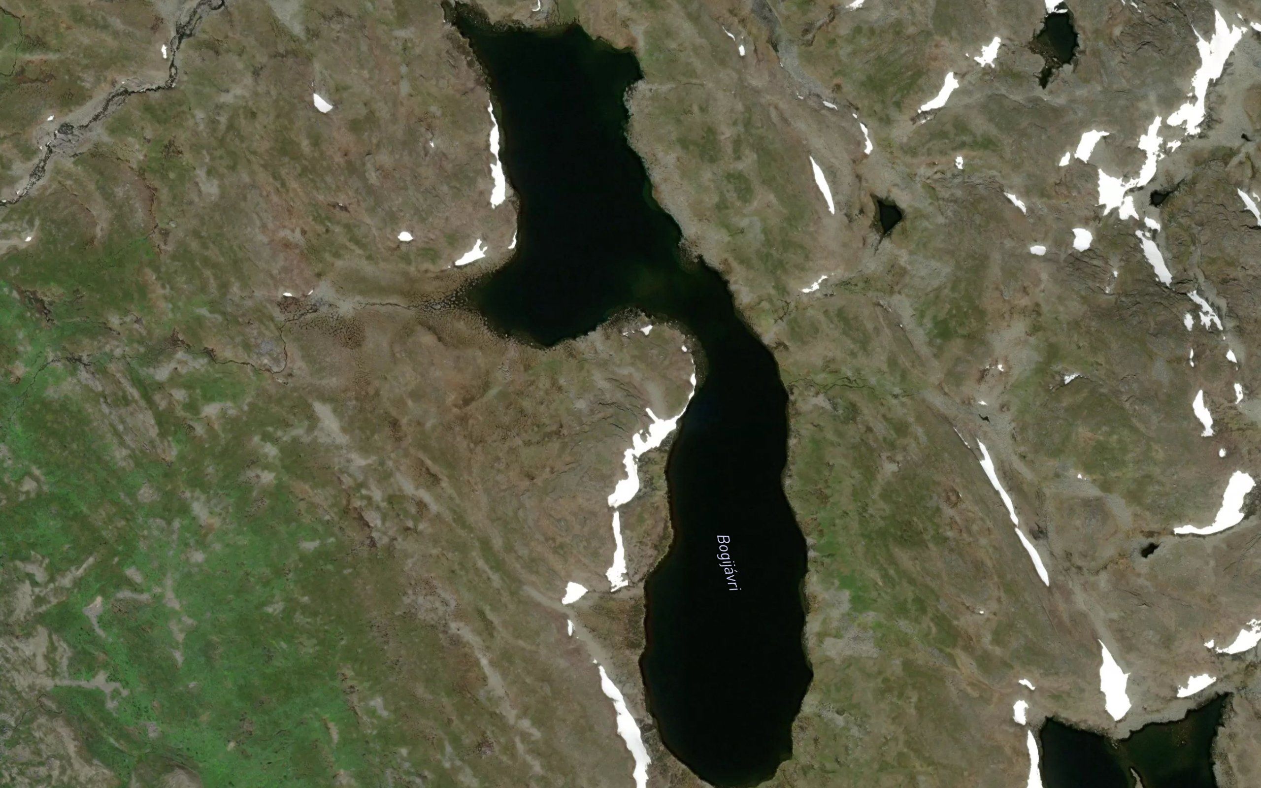 Bogijavri