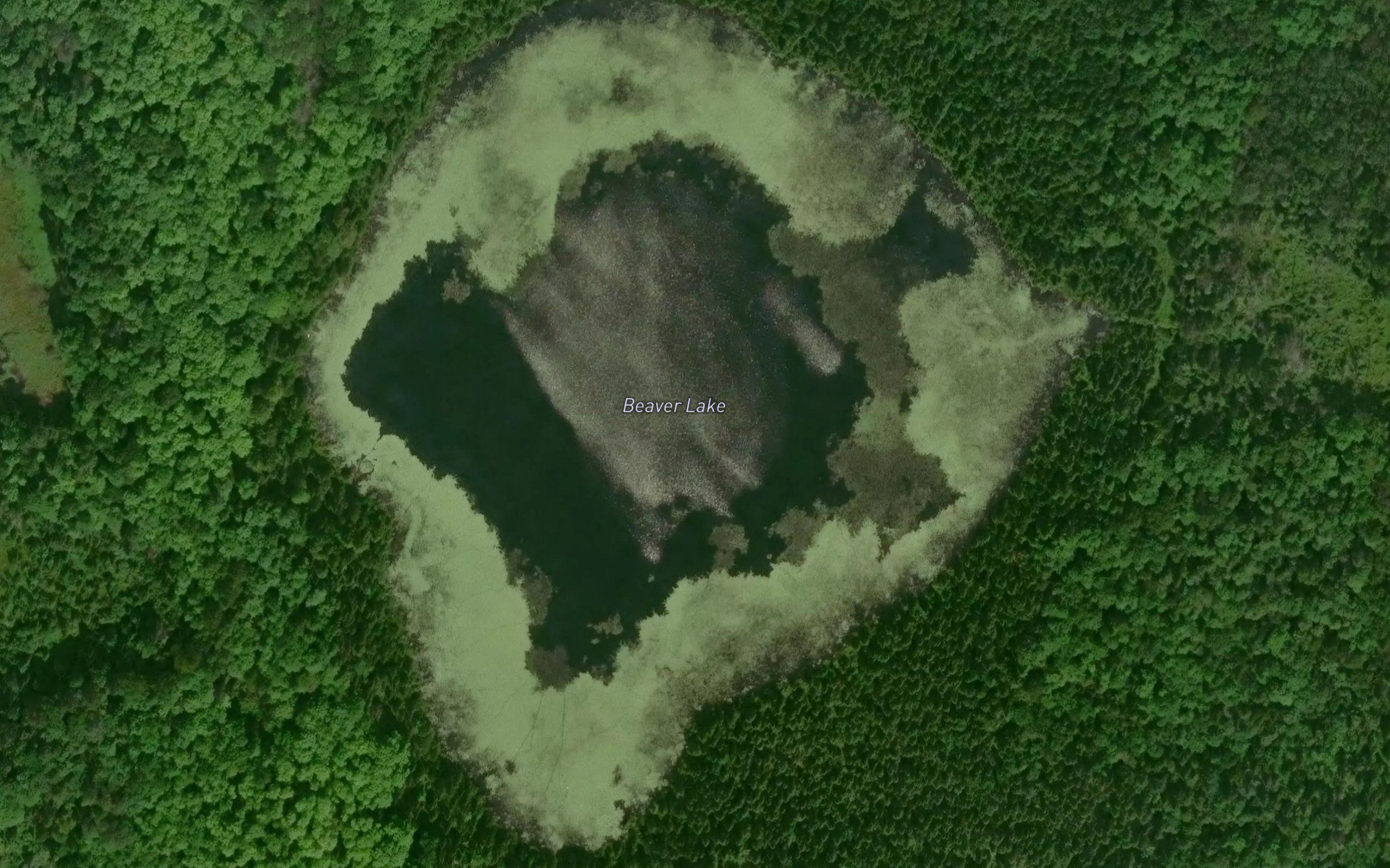 Beaver Lake