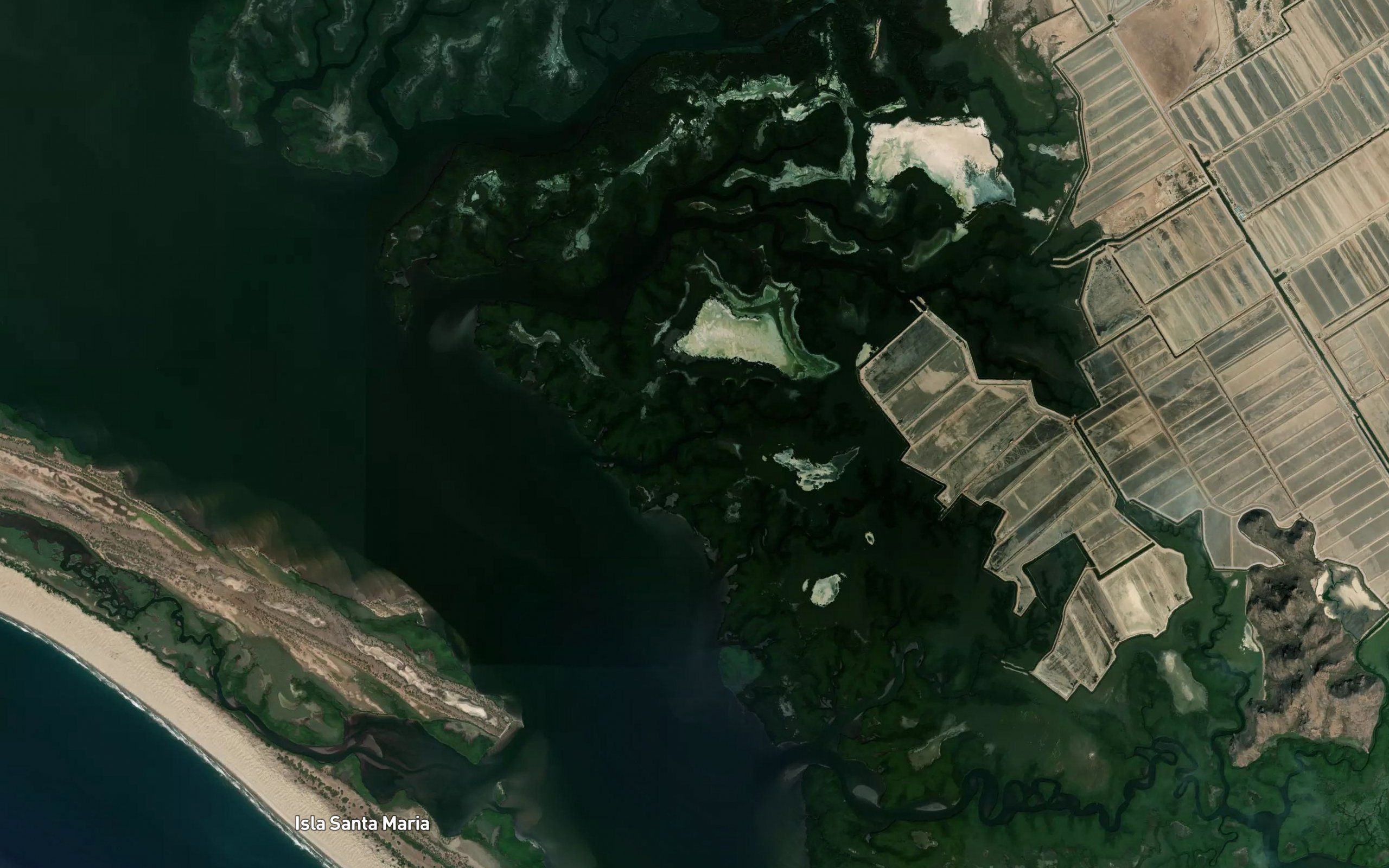 Estero la Atascosa