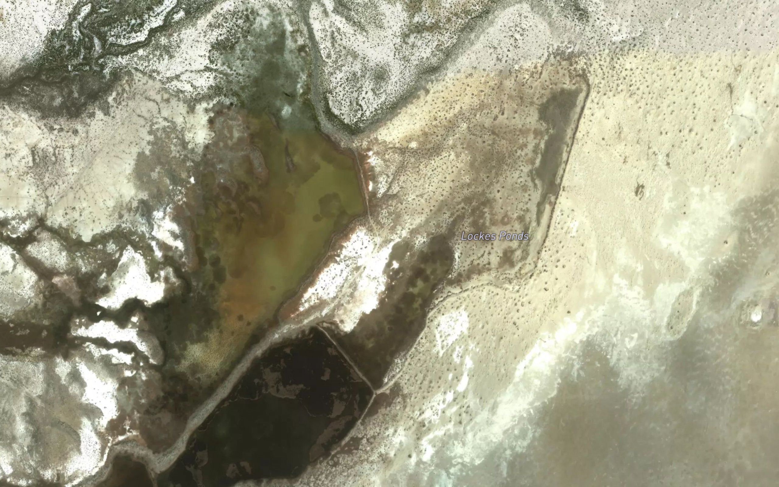 Lockes Ponds