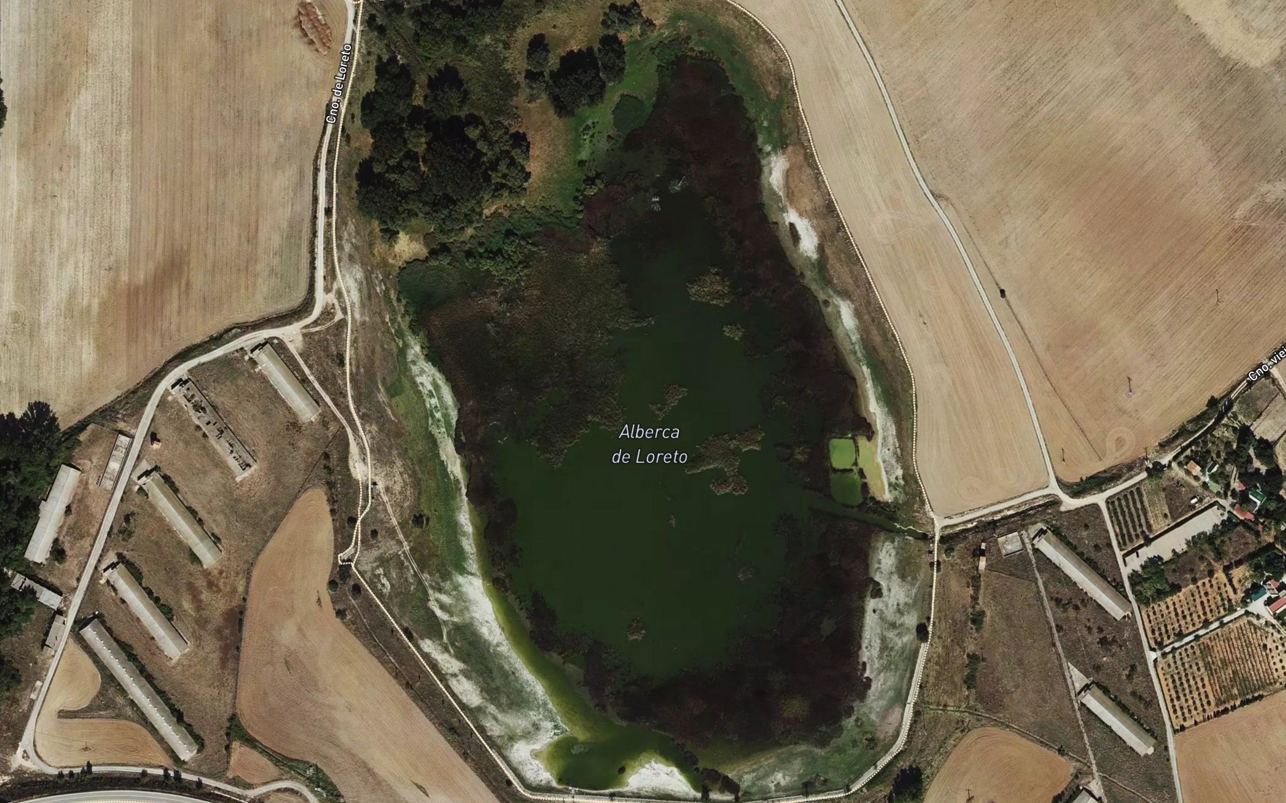 Alberca de Loreto