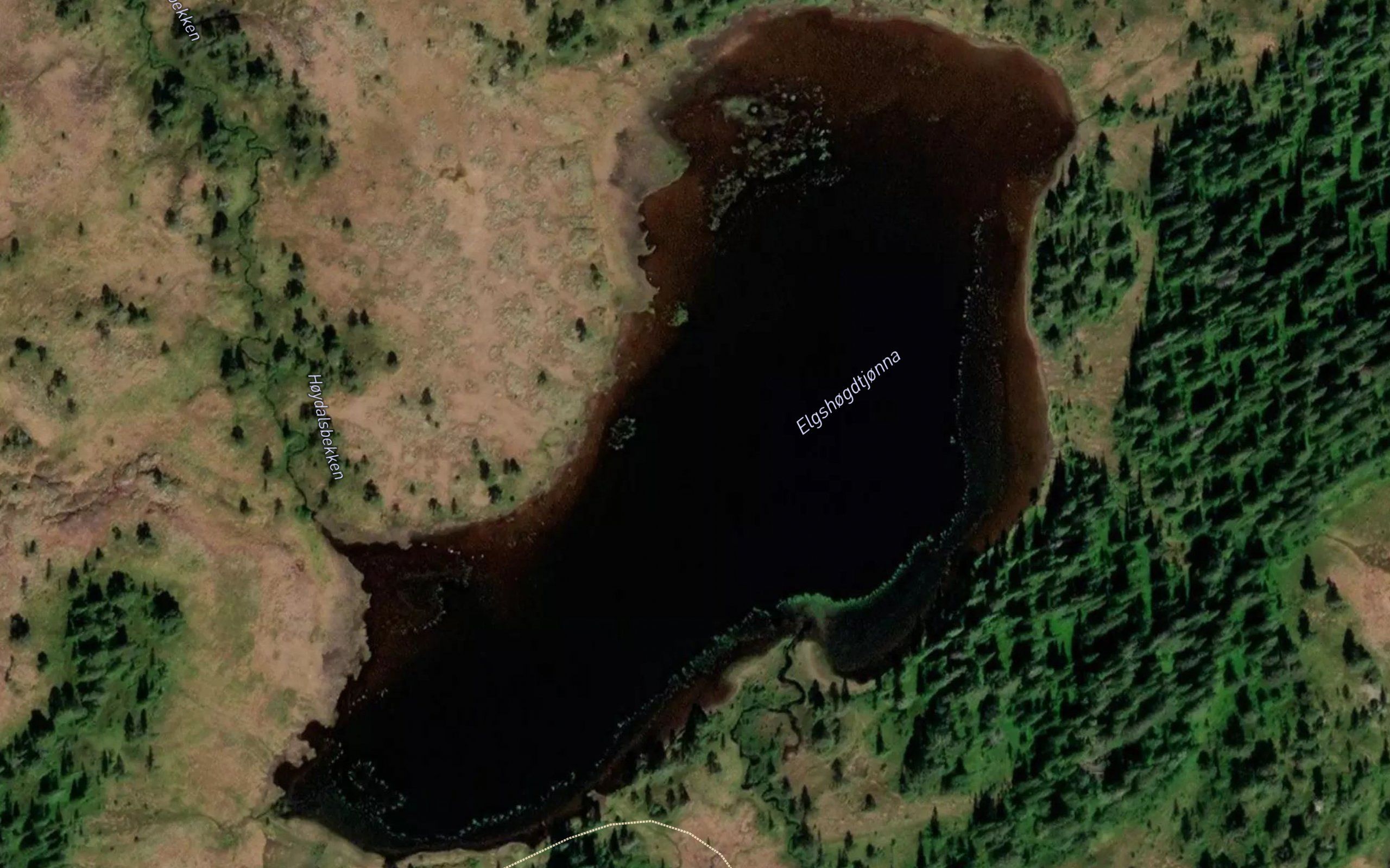 Olashaugtjorna