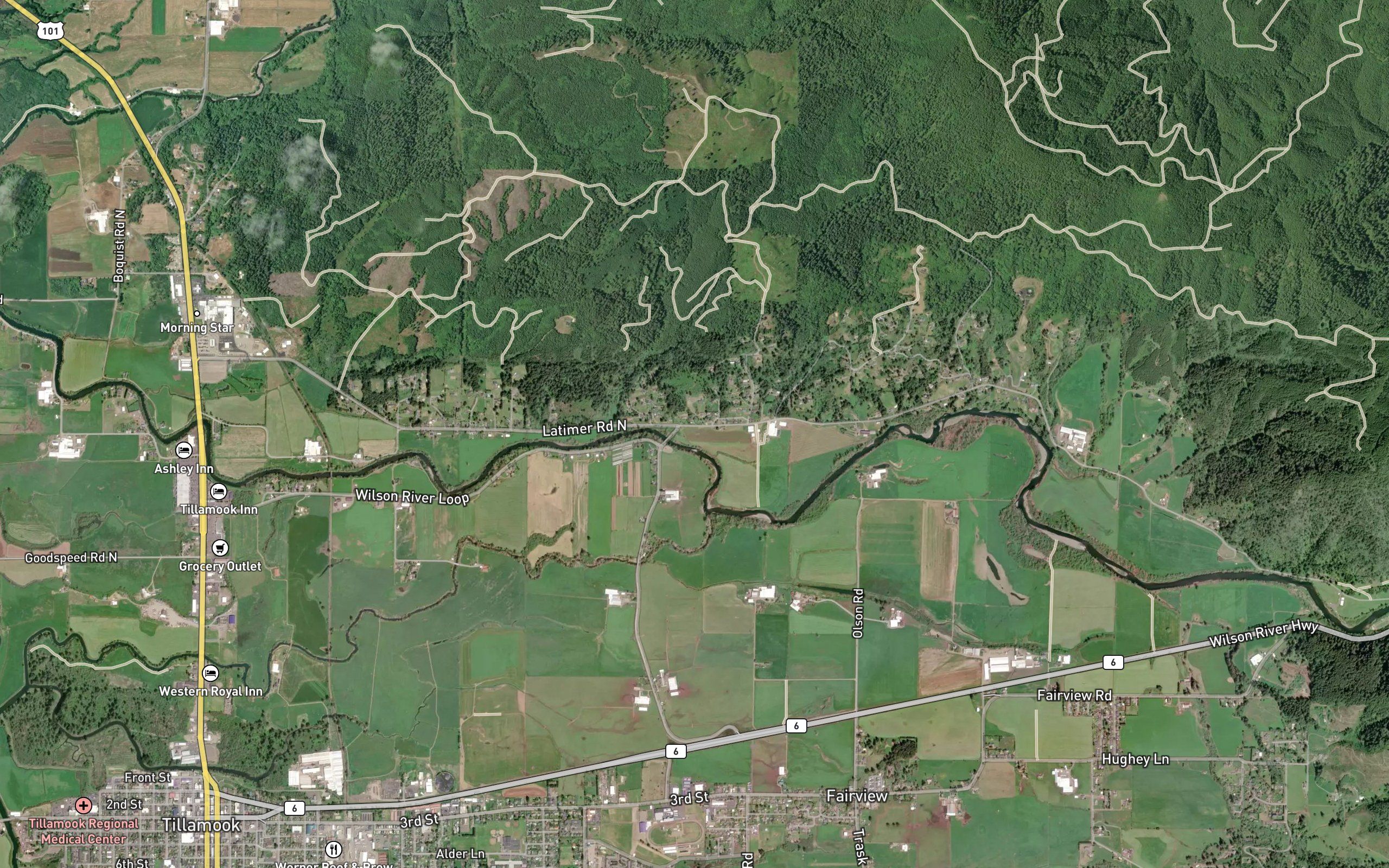 Yankee Branch