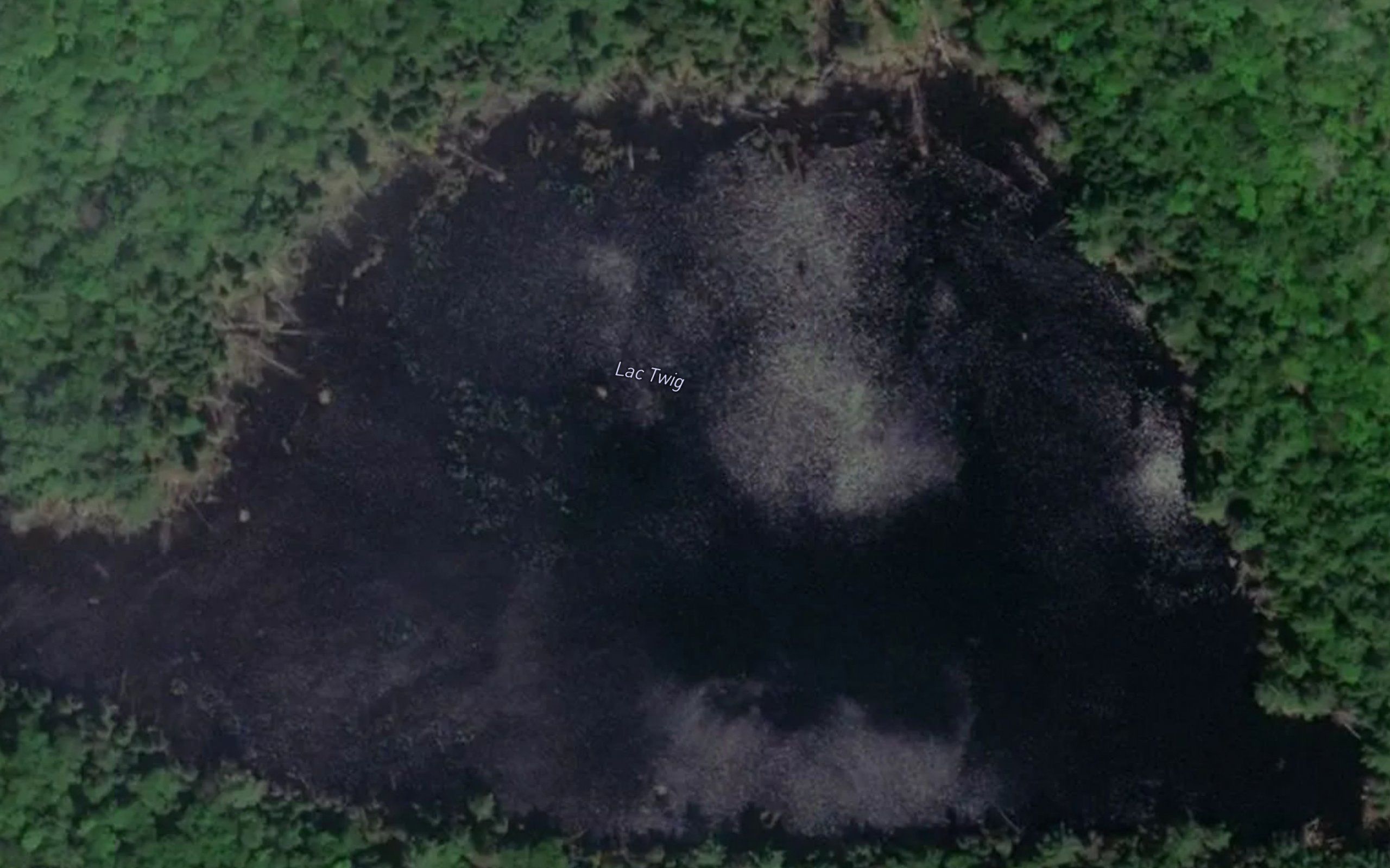 Lac Twig