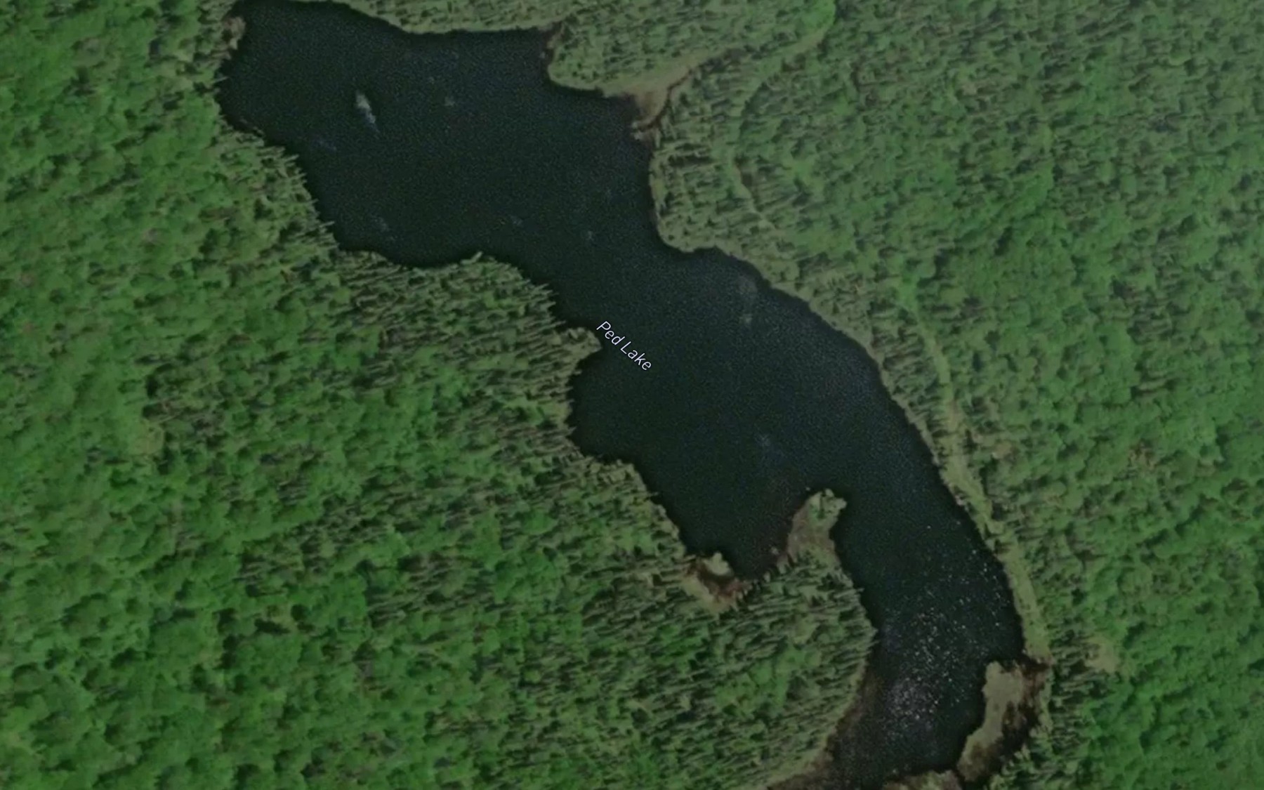 Satellite map of the Ped Lake