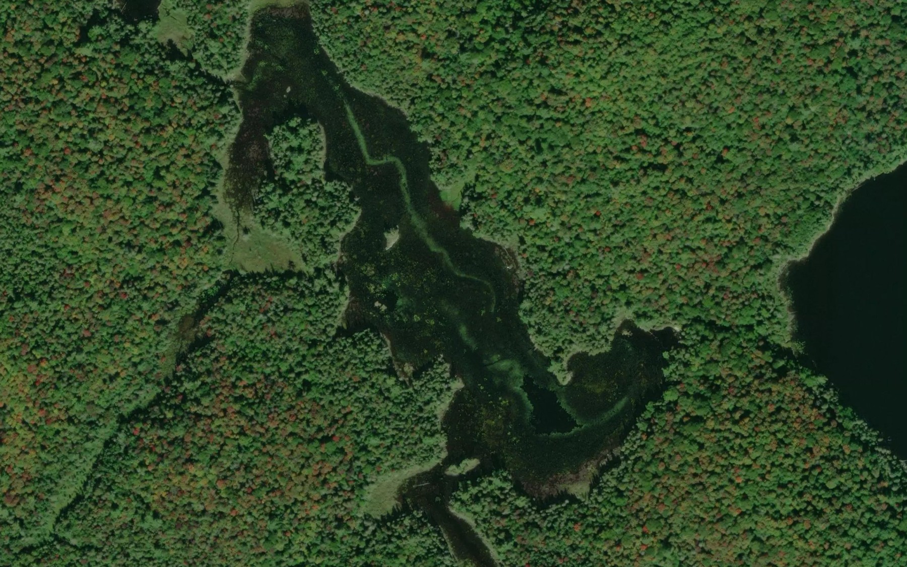 Satellite map of the South McKinnon Lake
