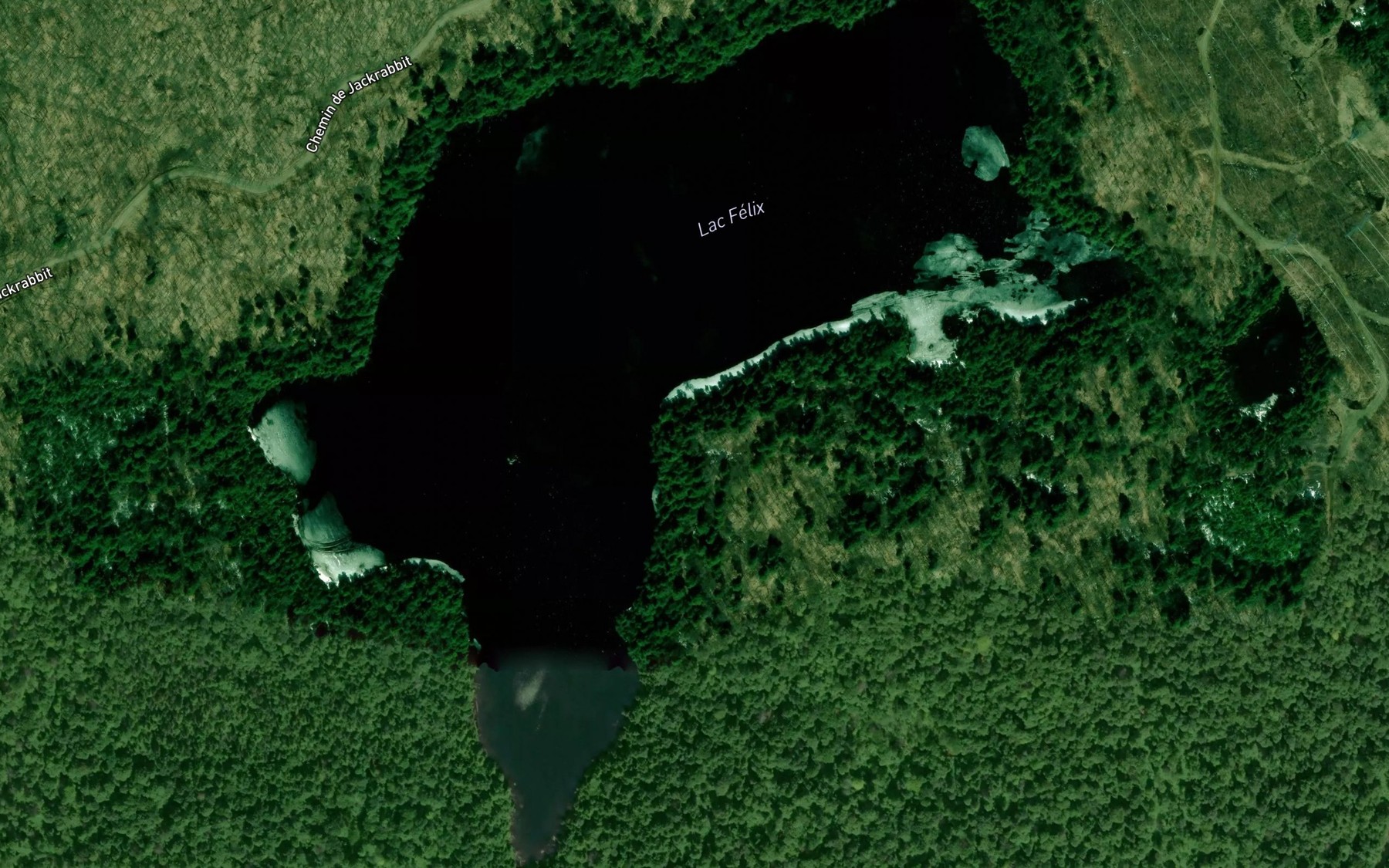 Satellite map of the Lac Felix