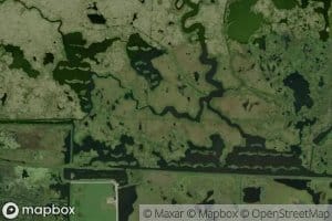 Cut Around Bayou