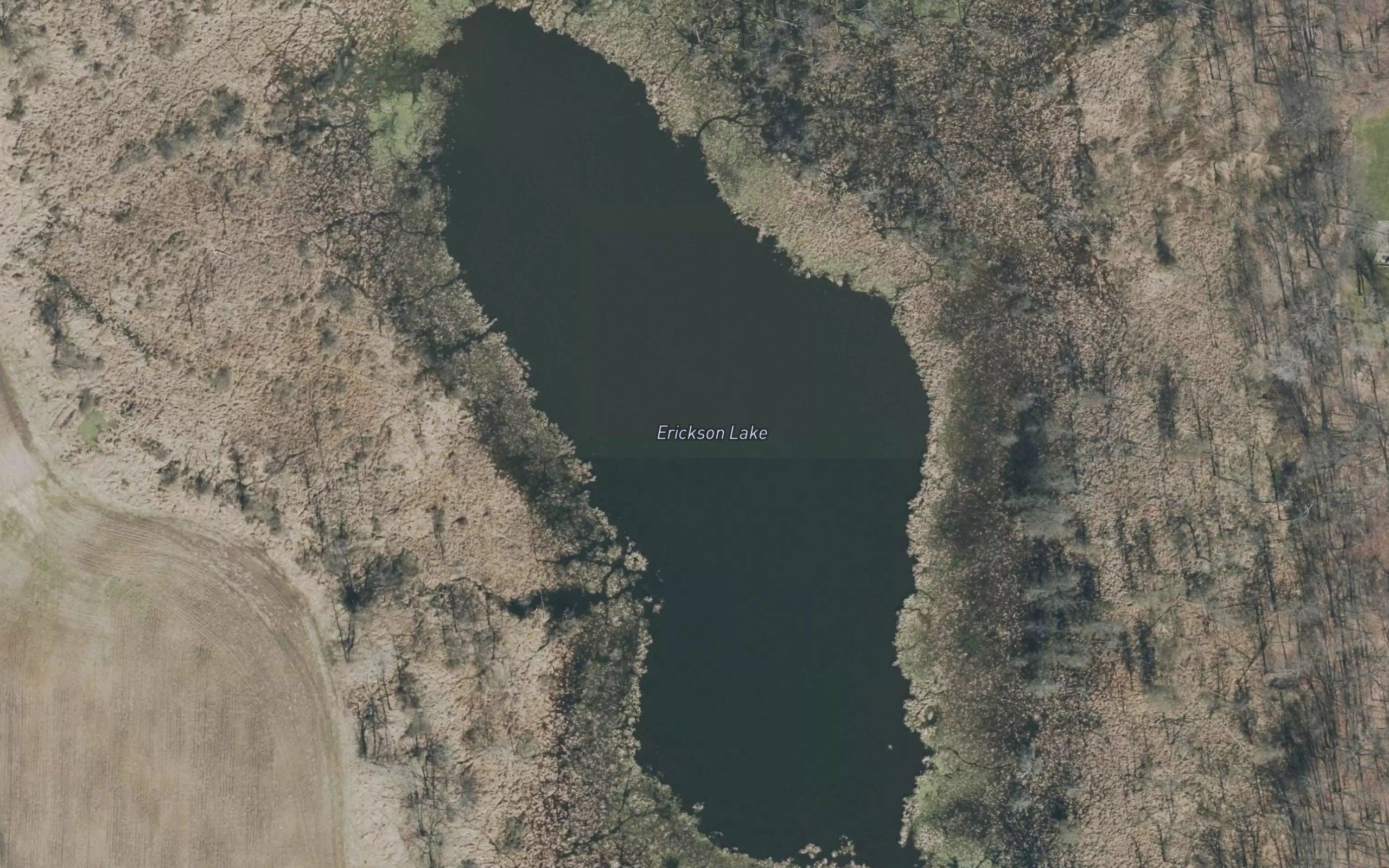 Erickson Lake
