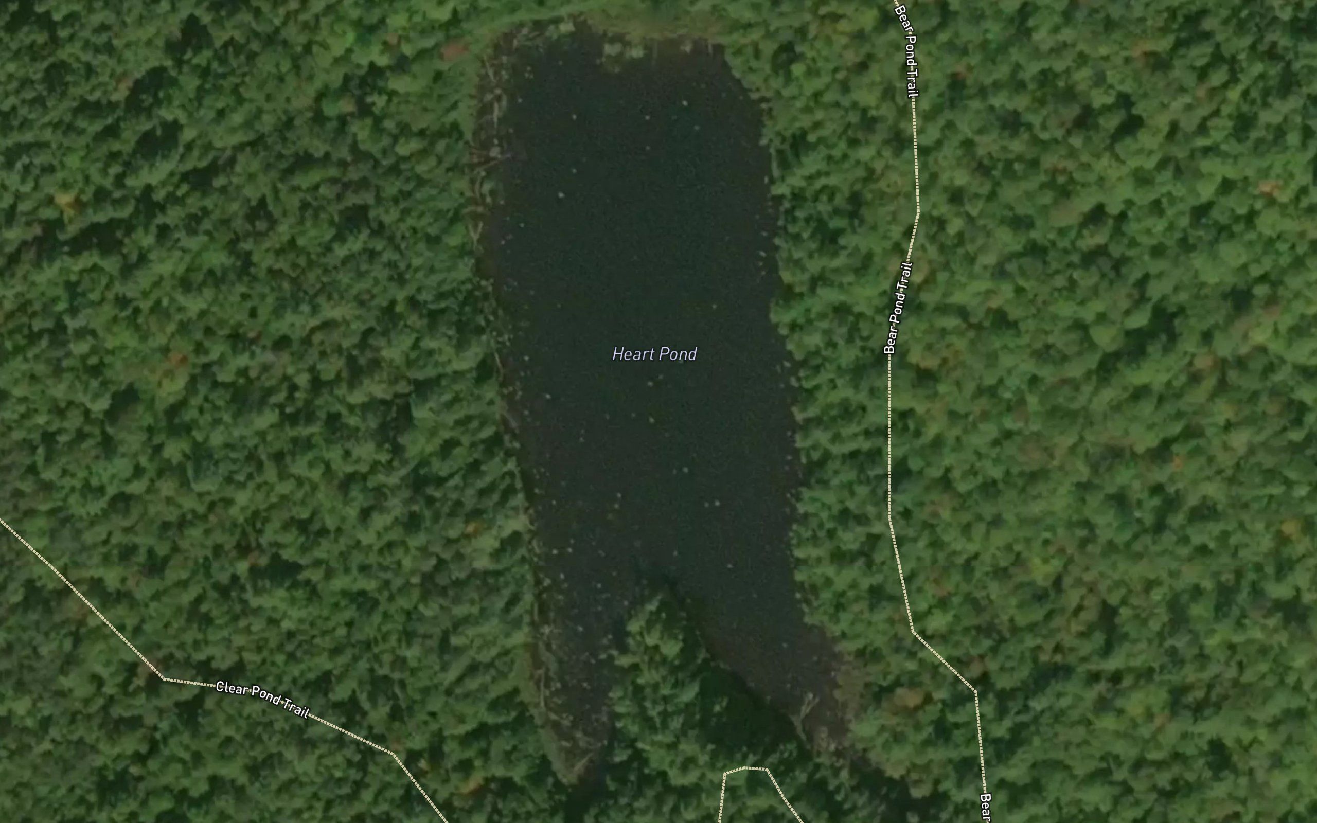 Heart Pond