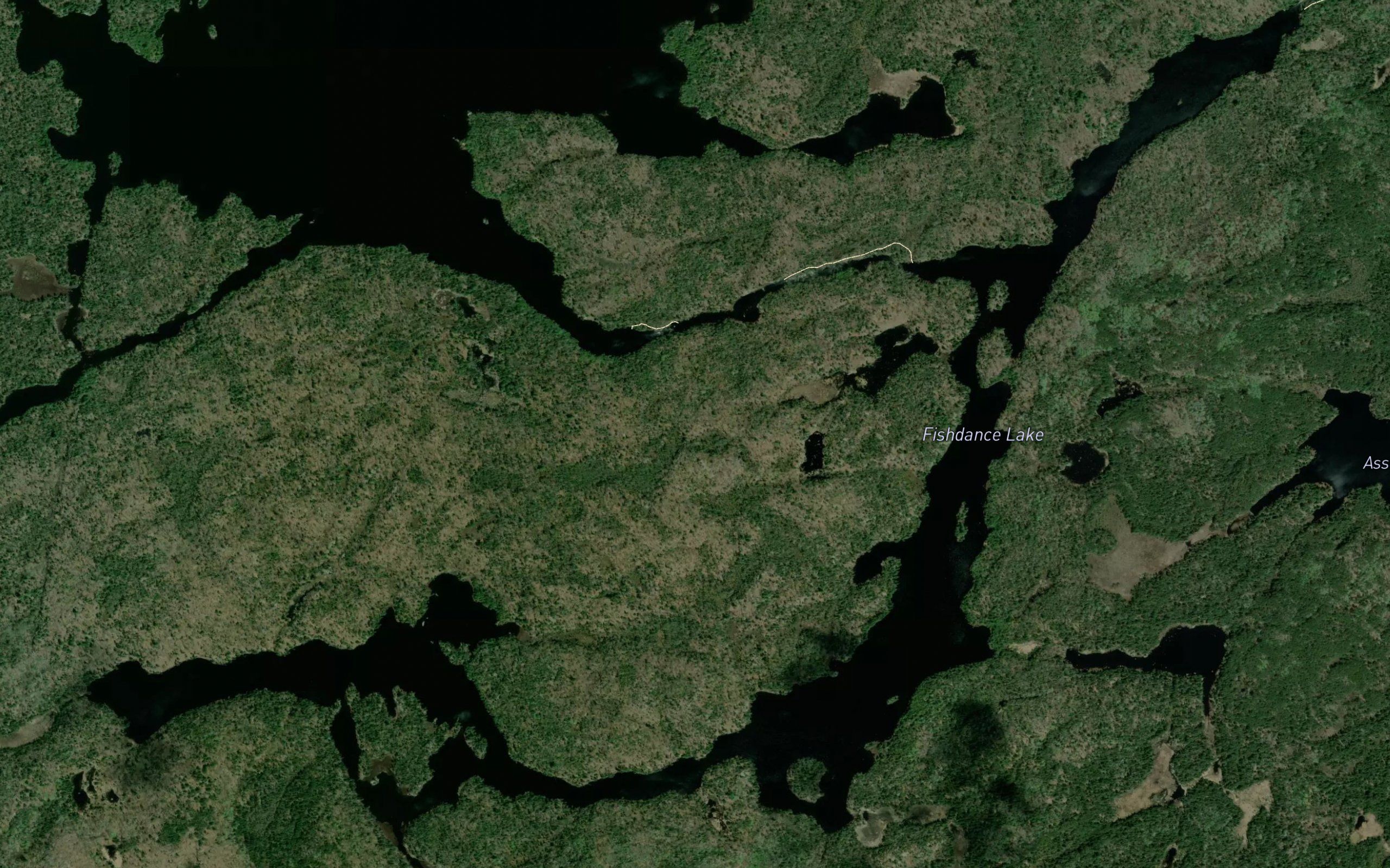 Fishdance Lake