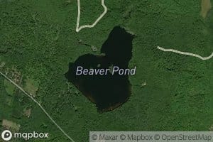 Beaver Pond