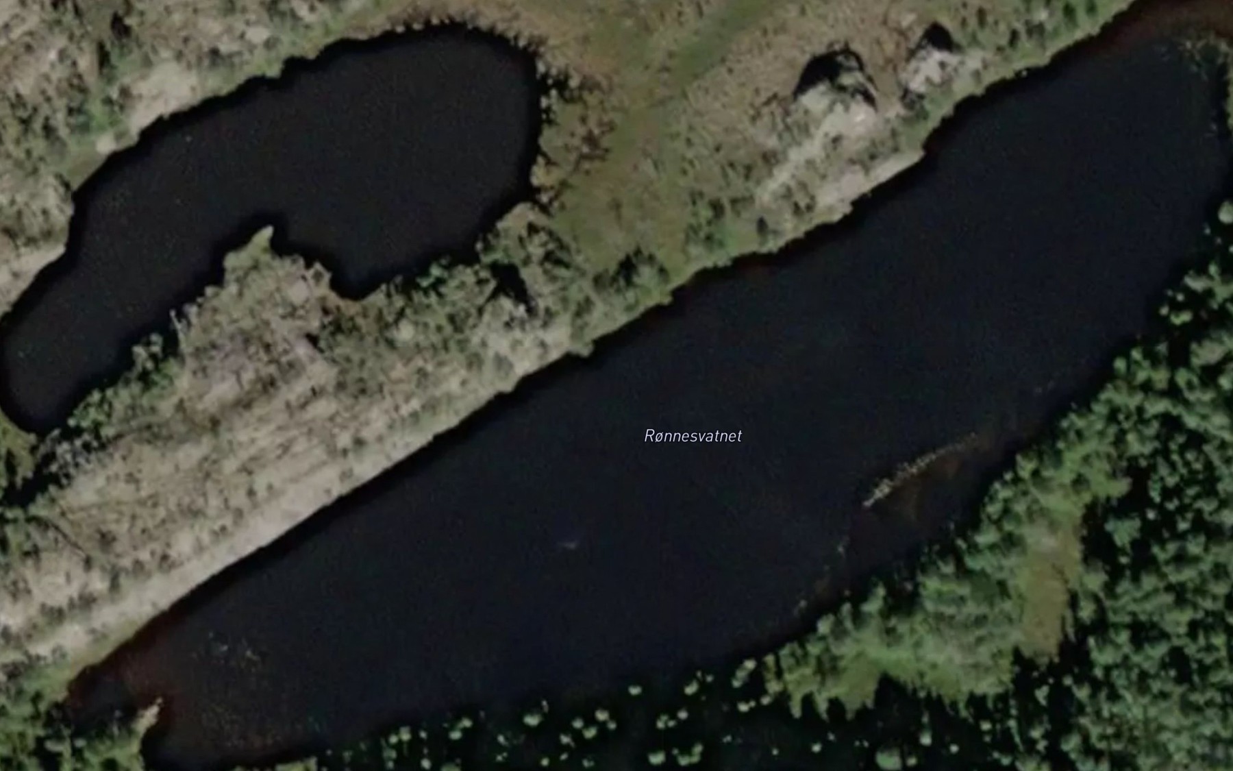 Satellite map of the Ronnesvatnet