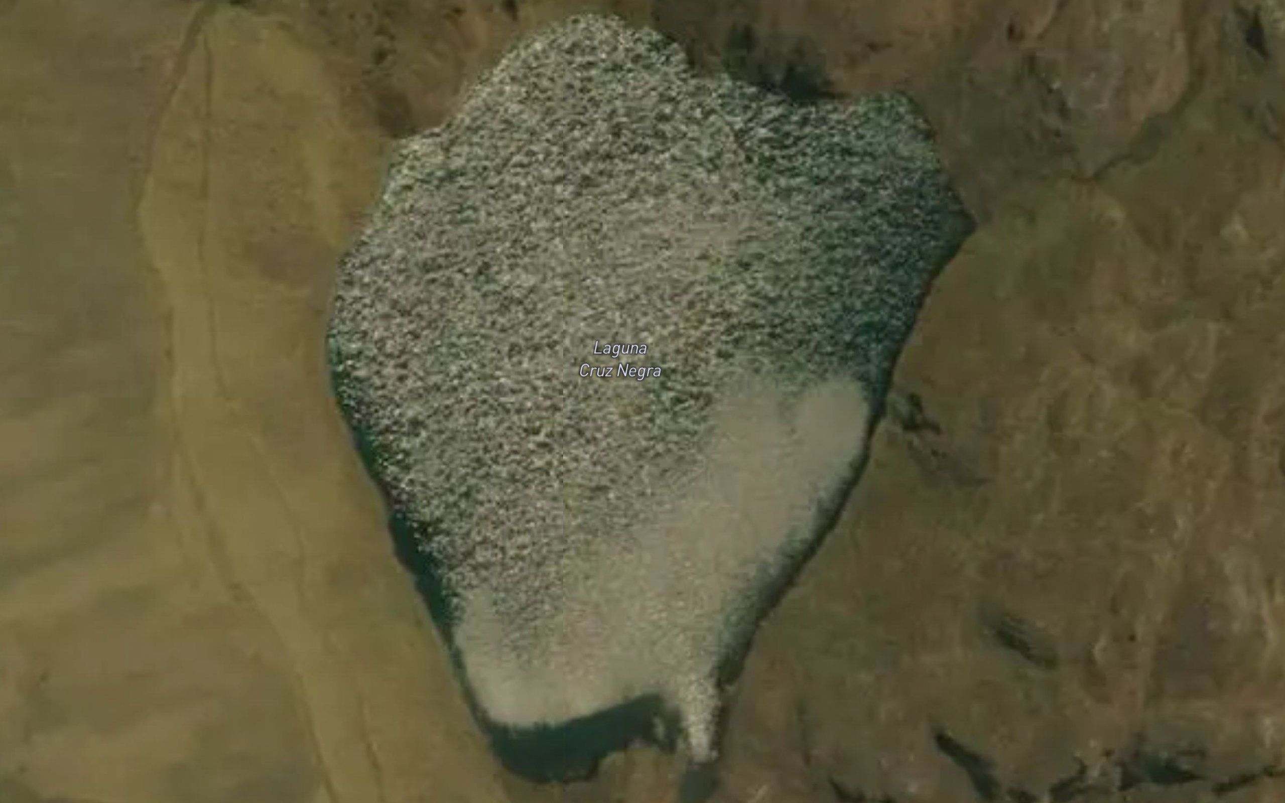 Laguna Cruz Negra