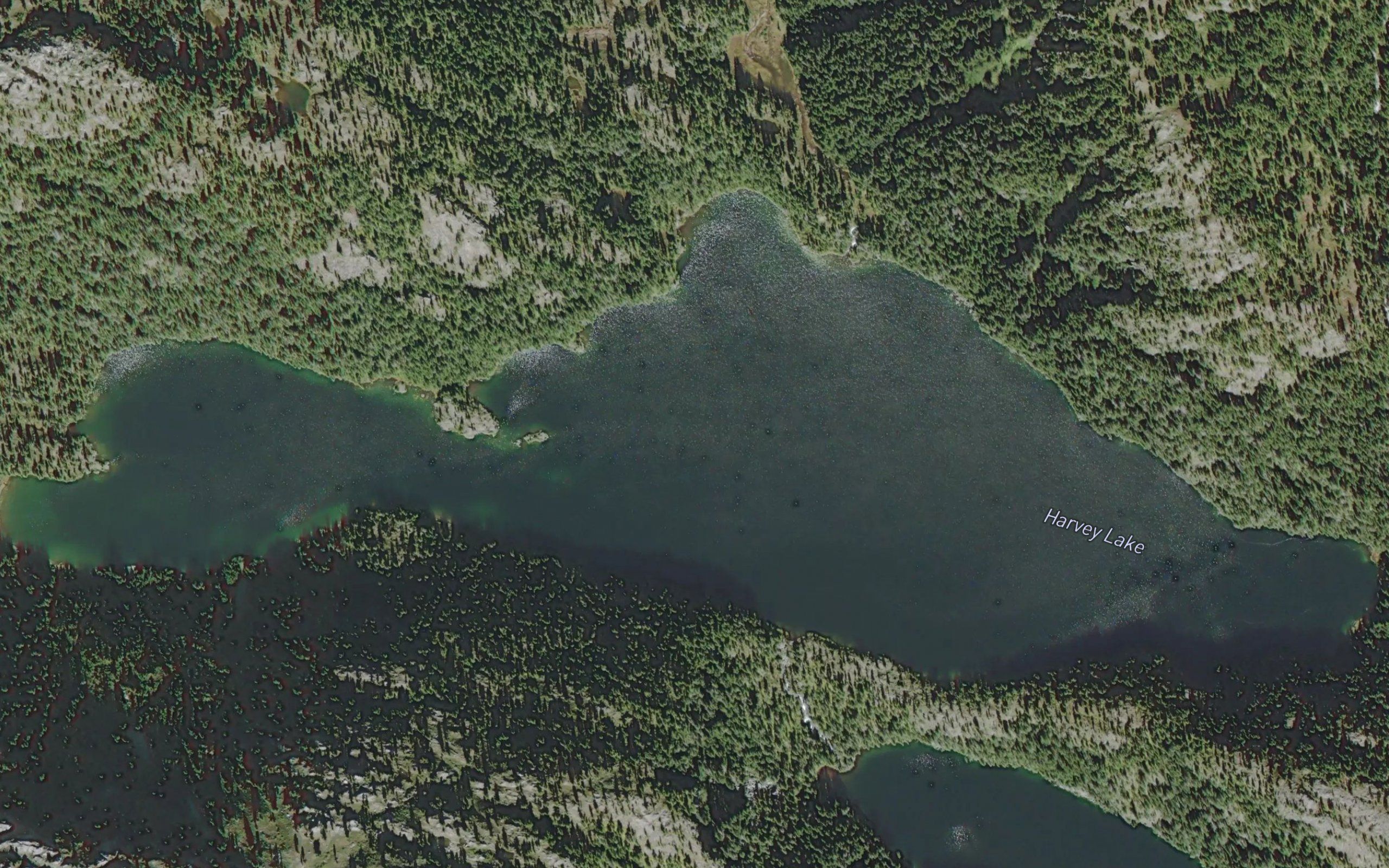 Harvey Lake