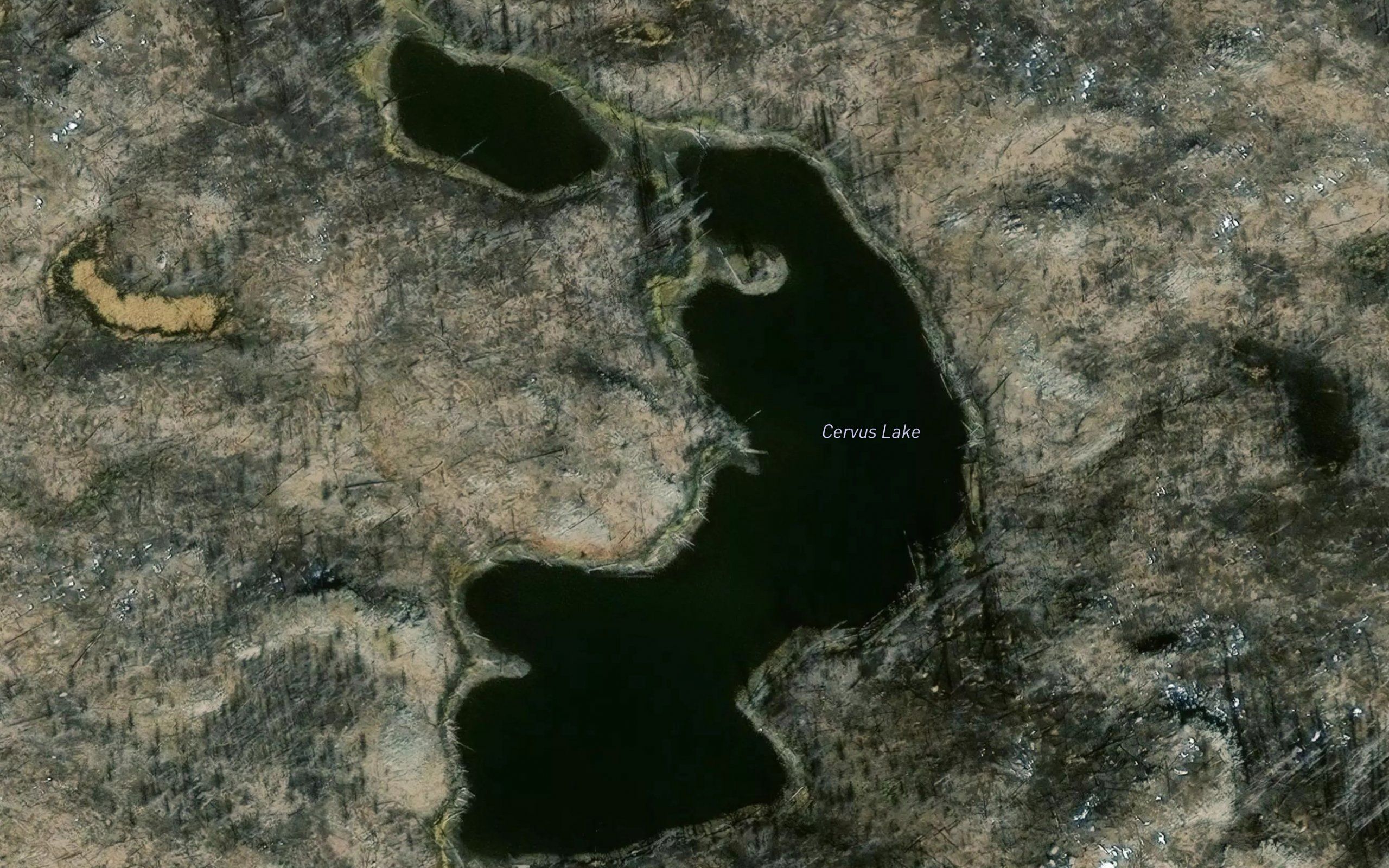 Cervus Lake