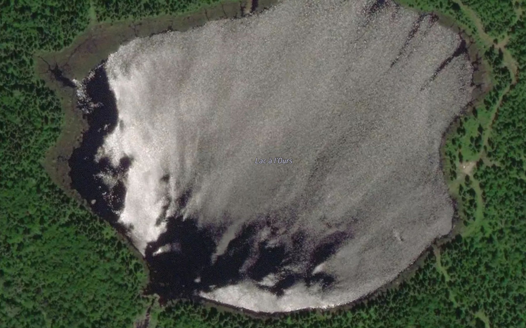 Satellite map of the Lac a l'Ours