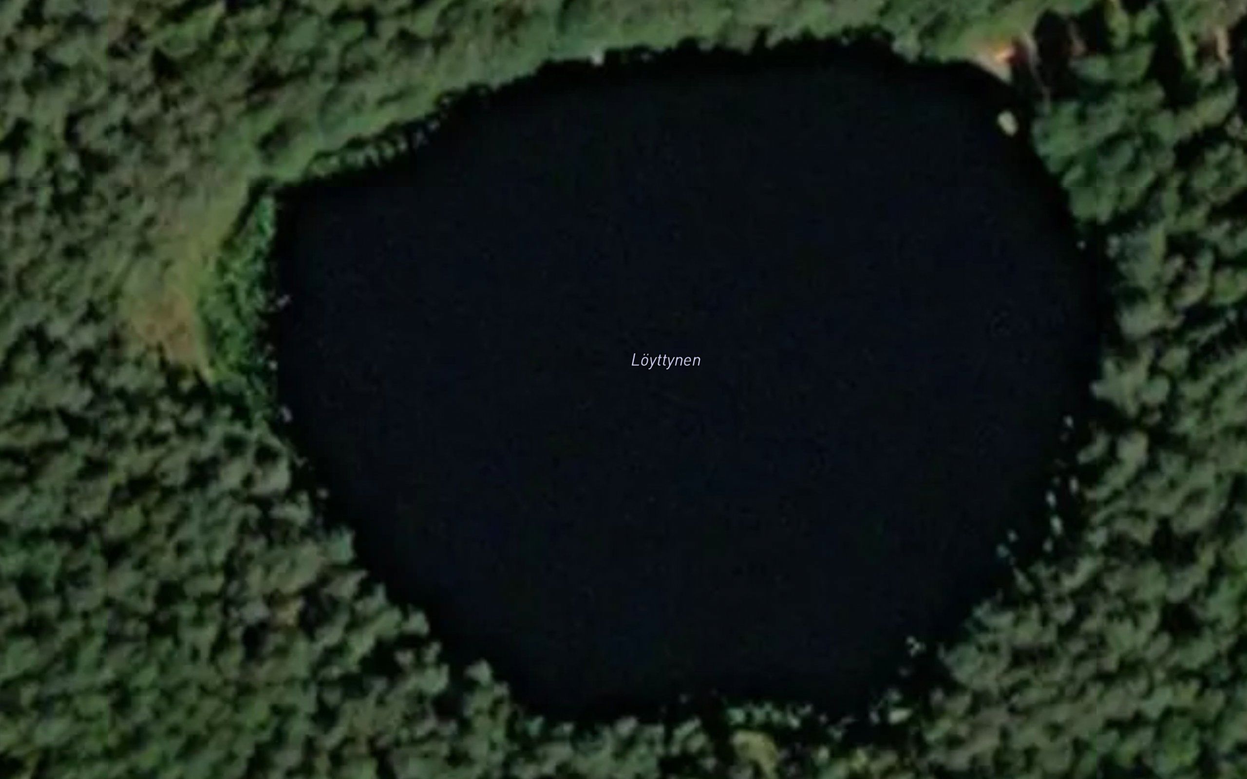 Loyttynen