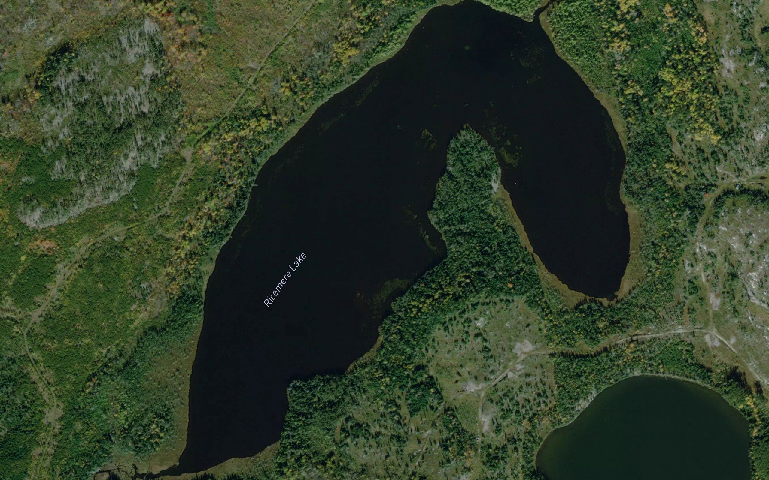 Ricemere Lake