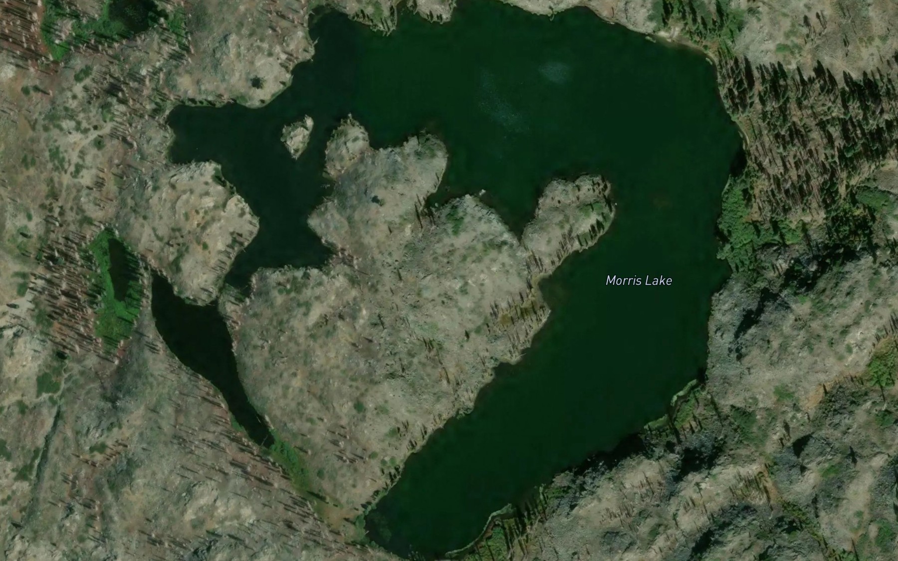Satellite map of the Morris Lake