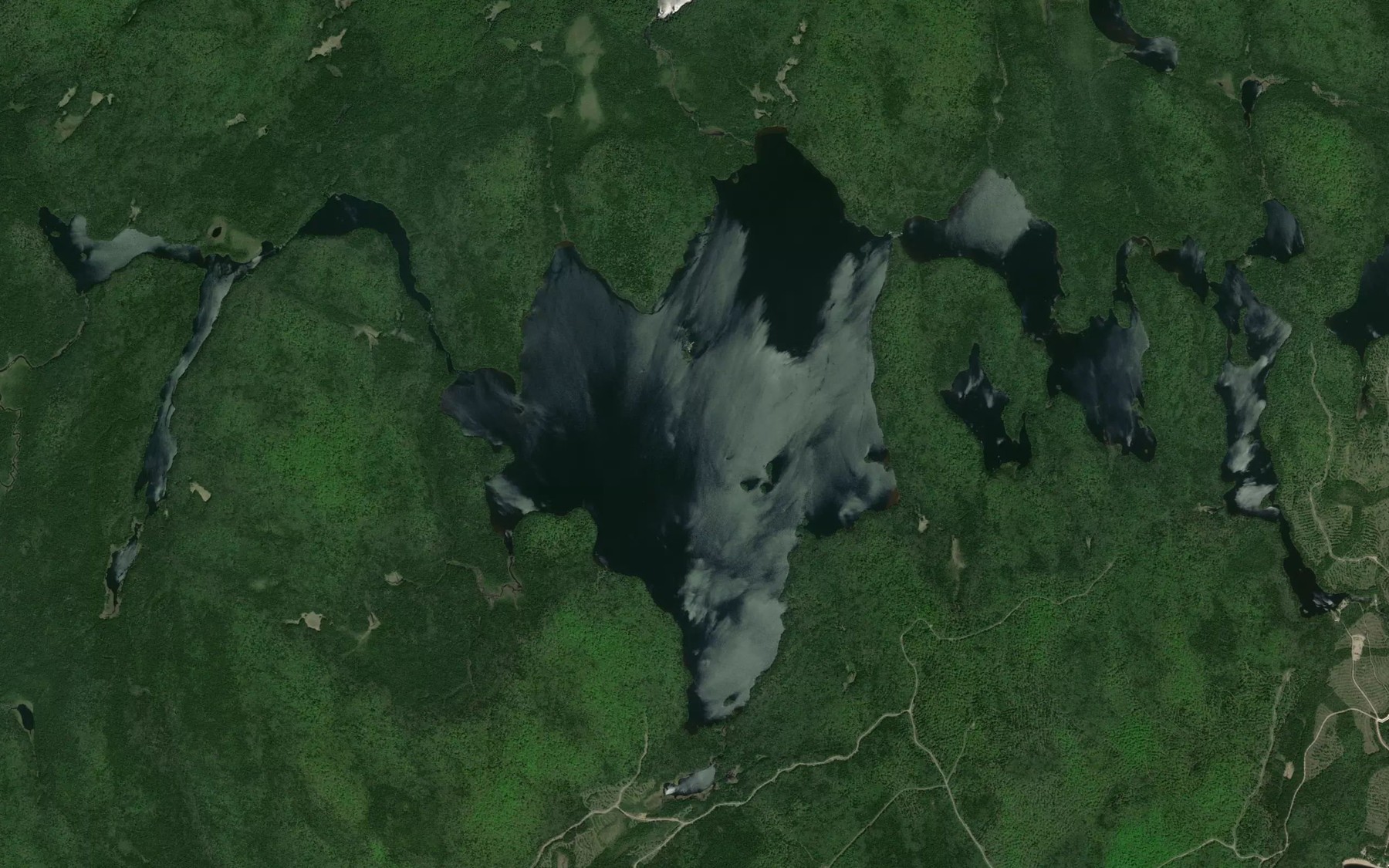 Satellite map of the Lac De La Bidiere